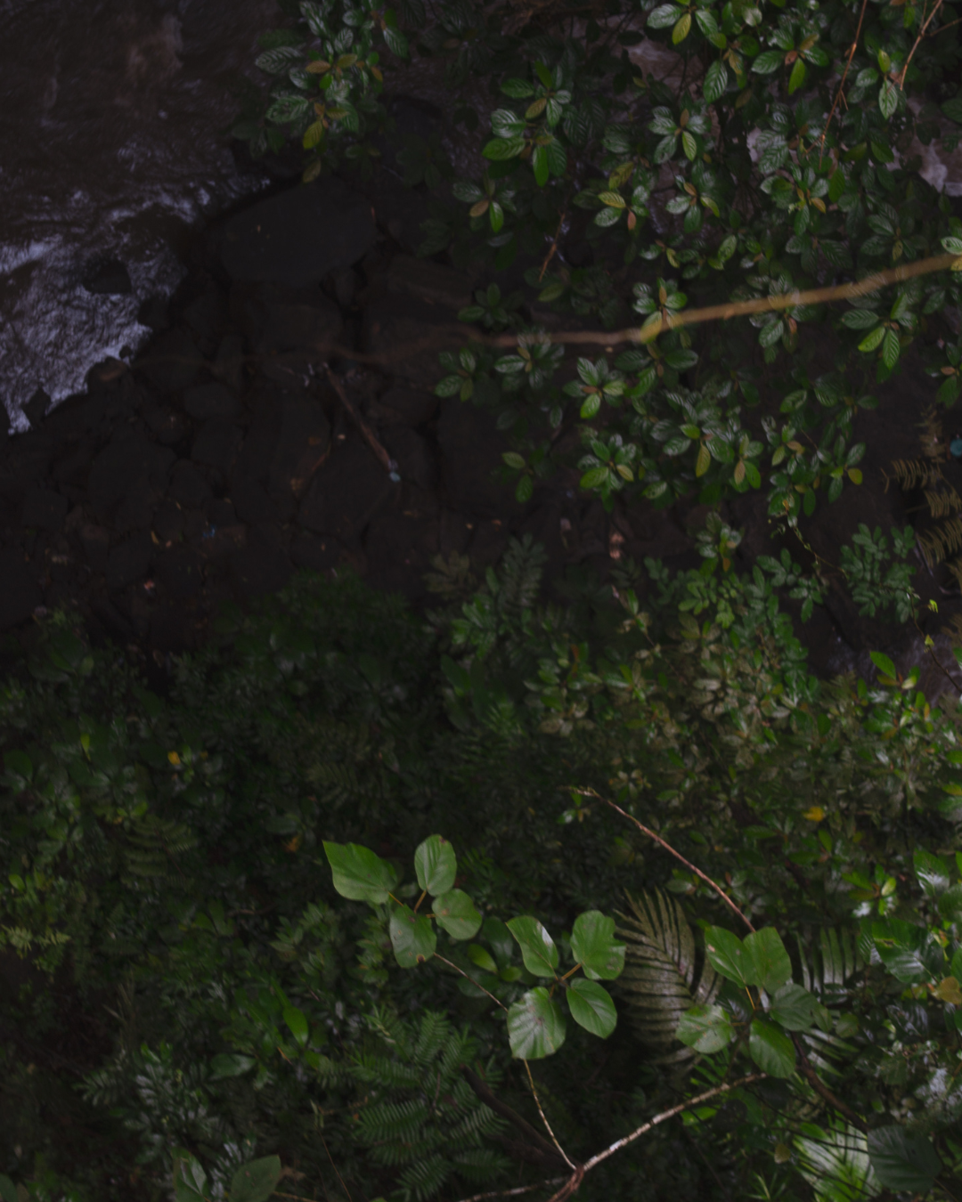 The Life Force That Makes You Truly Alive