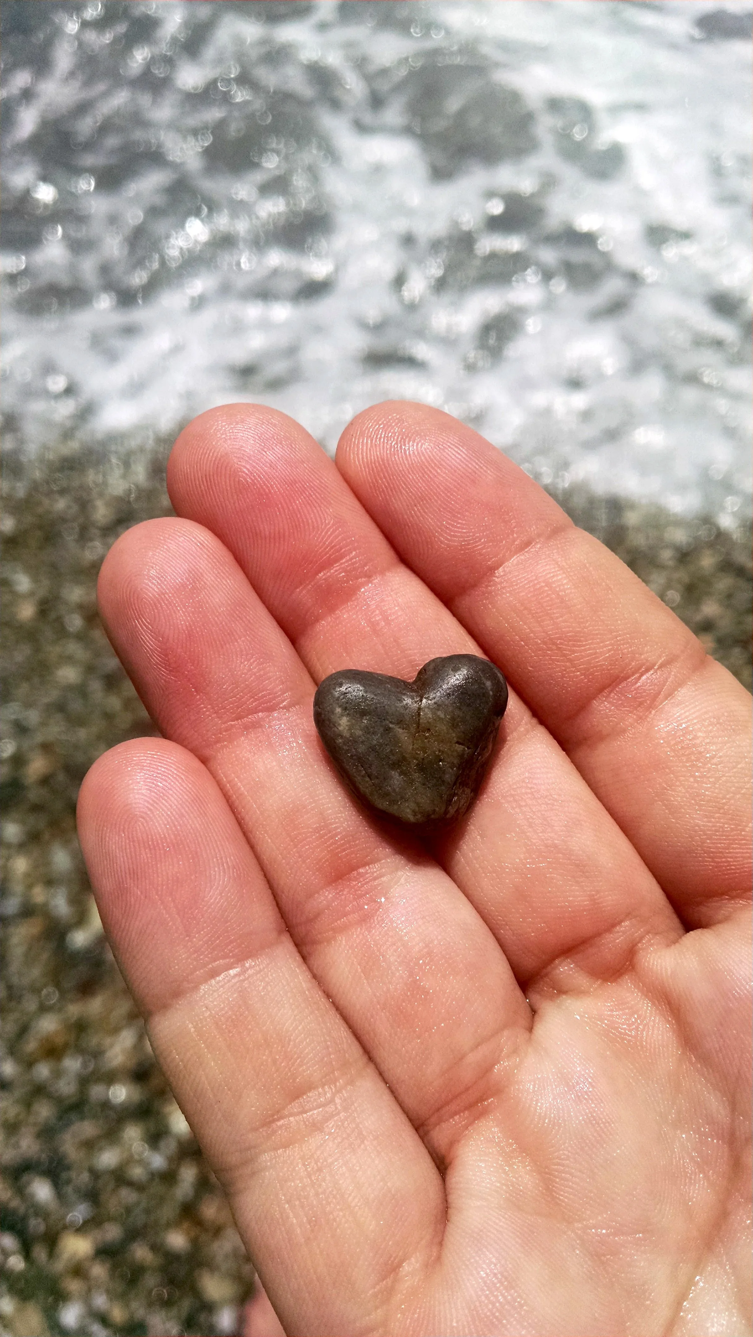 A Gift of Support