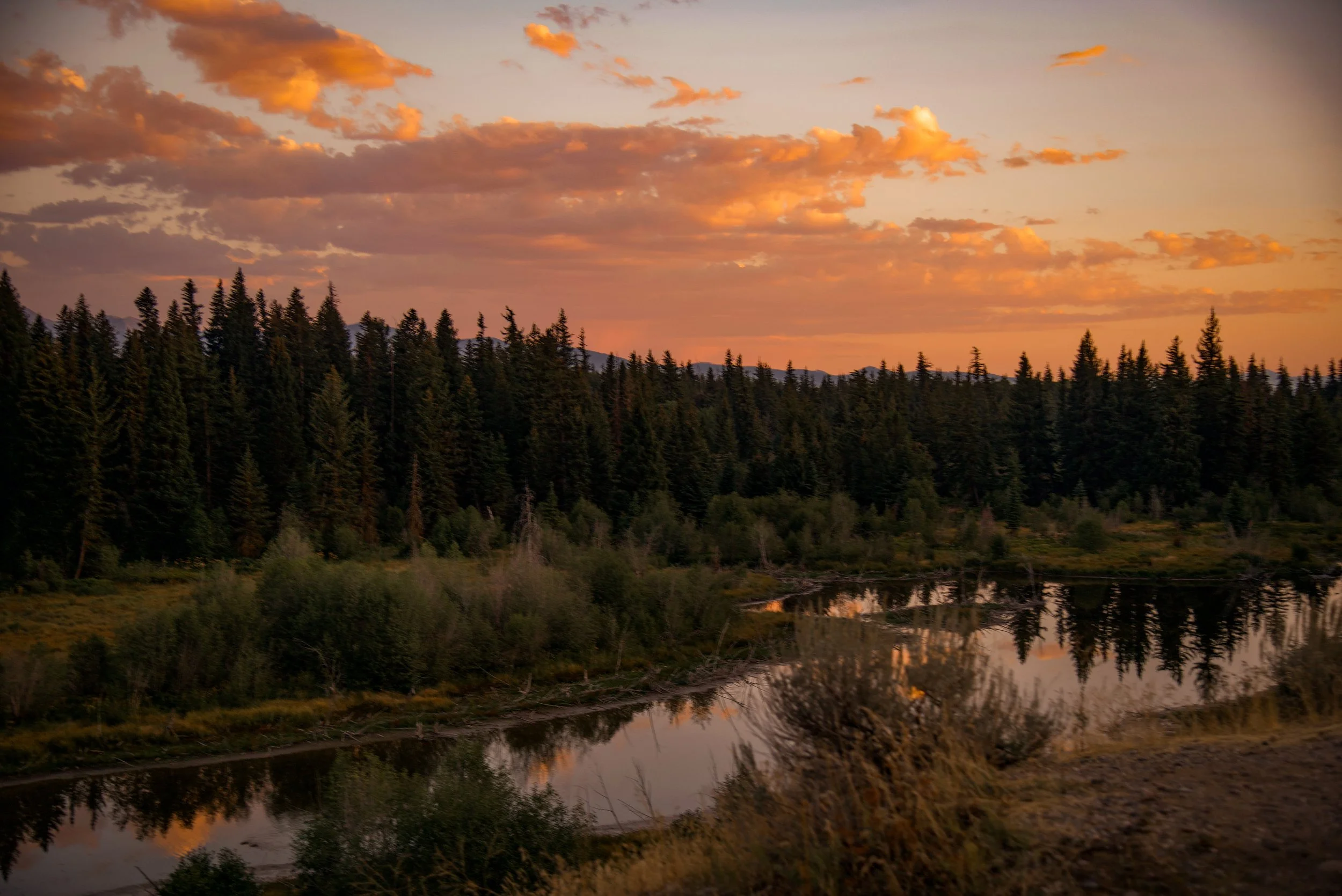 Elopement location inspiration — scenic national park landscapes including Yellowstone, Grand Teton, Zion, Rocky Mountain, Moab, Arches, and Shenandoah — Wild Heart Elopements by Jessica Bush