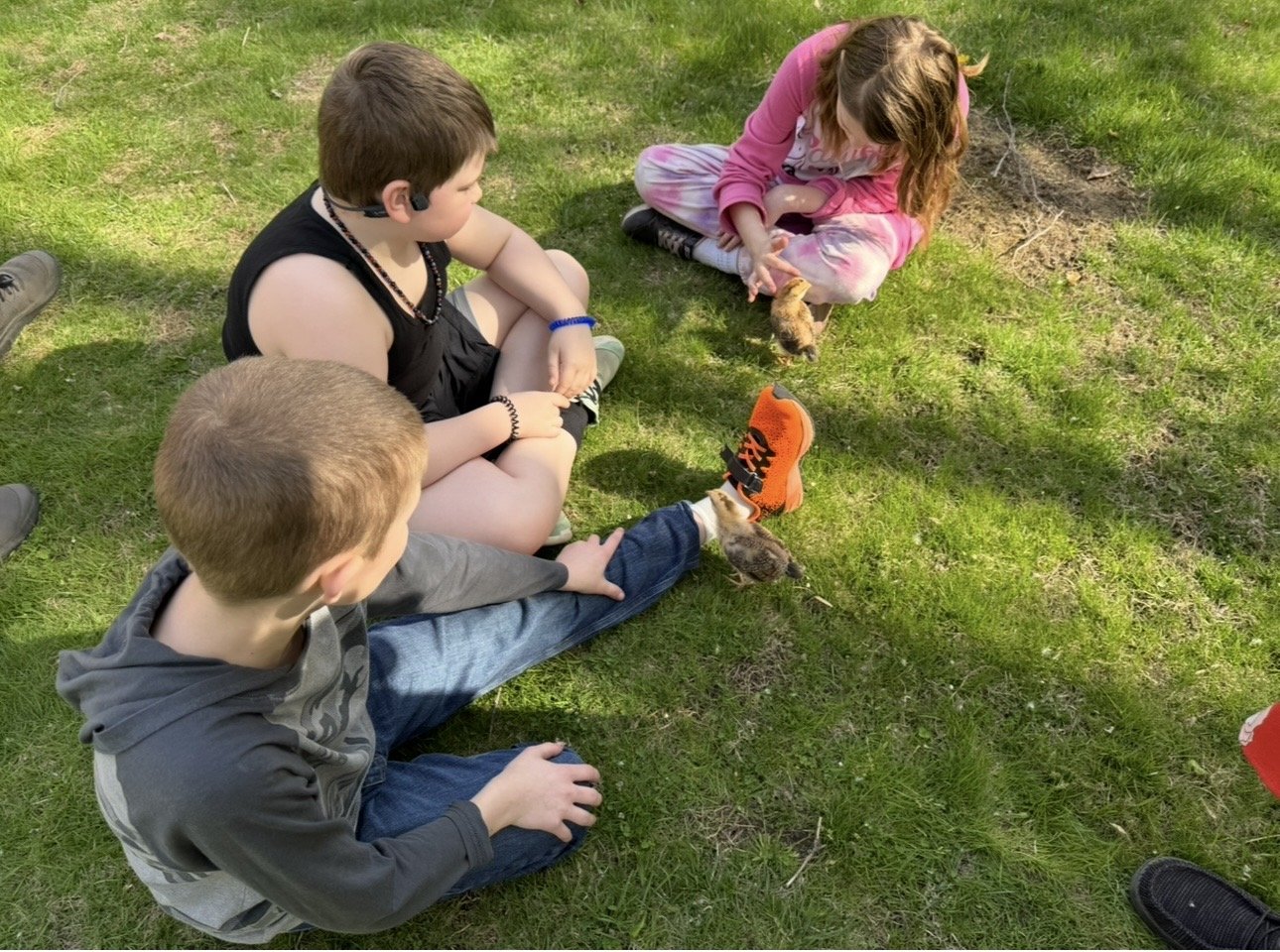 Homeschool Social Club