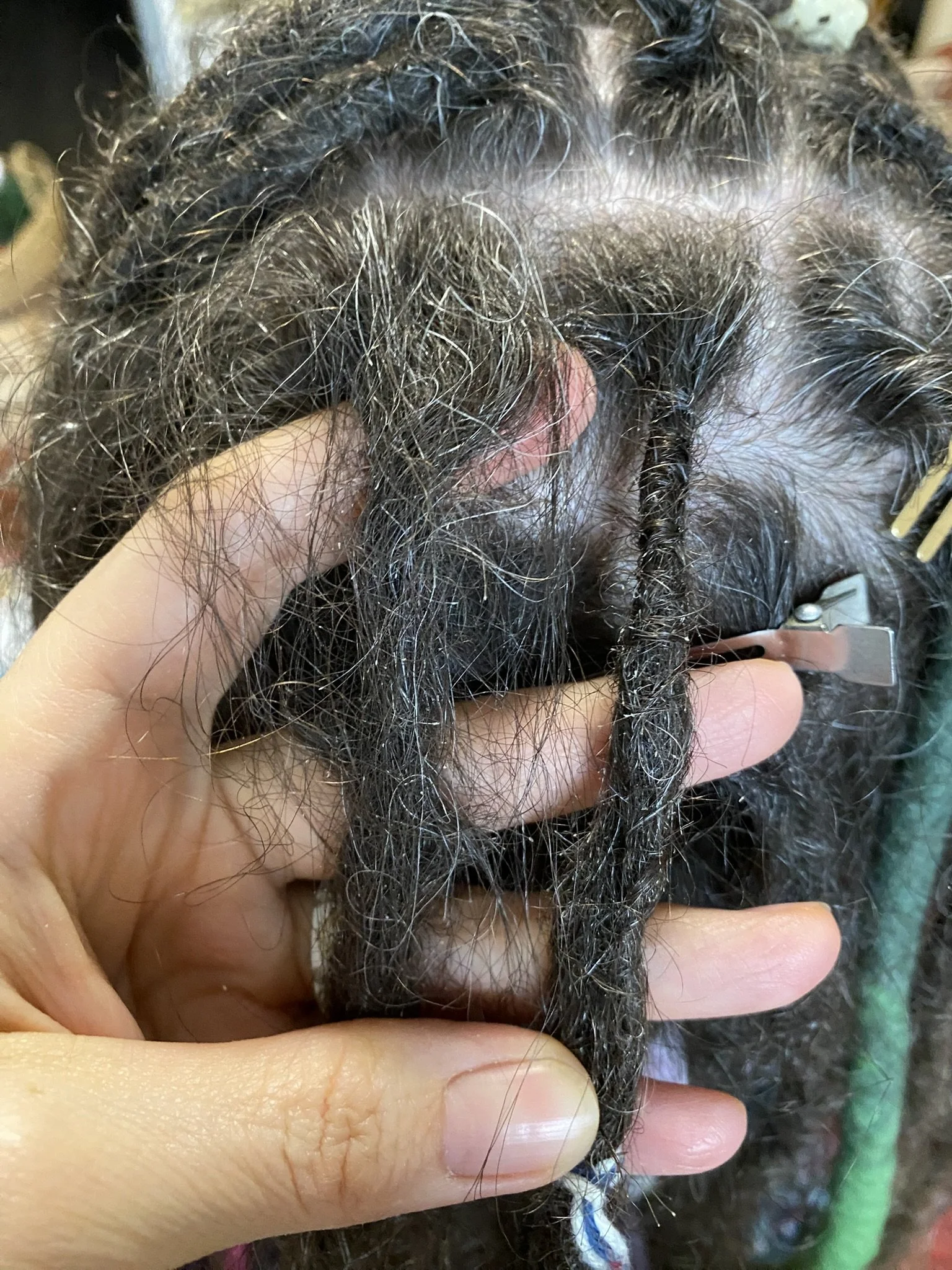 Dreadpflege richtig gemacht: Die wichtigsten Tipps für gesunde Dreadlocks