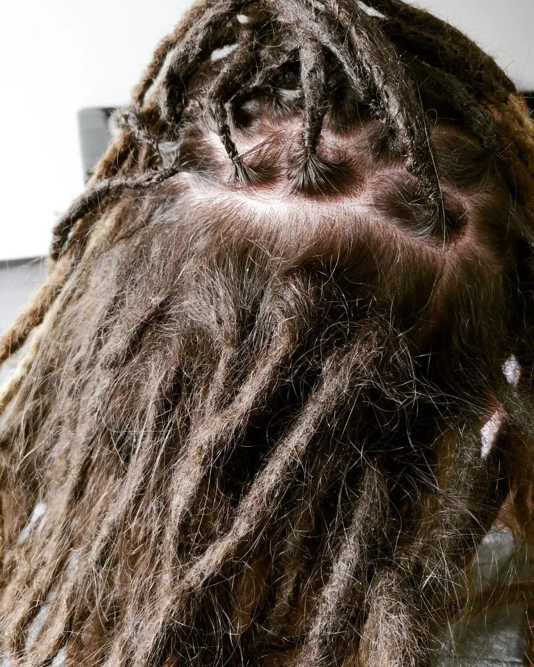 Nahaufnahme der Kopfhaut und dreadlocks eines Menschen mit dichten, langen, braunen dreadlocks. Die Kopfhaut ist sichtbar durch die Haare.