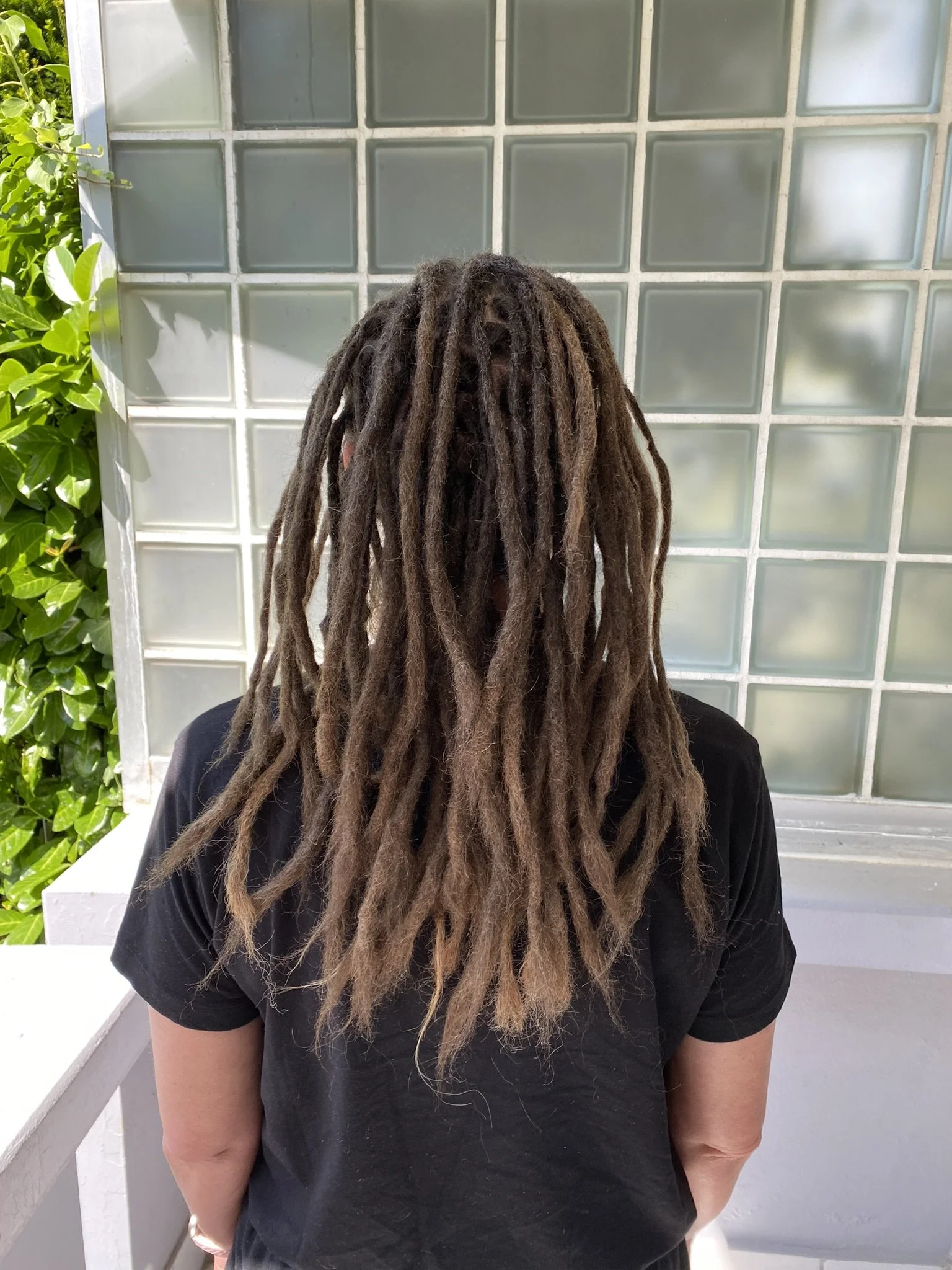 Person mit langen, lockigen Dreadlocks trägt schwarzen T-Shirt, steht vor einer Wand mit Glaselementen, grüner Busch rechts.