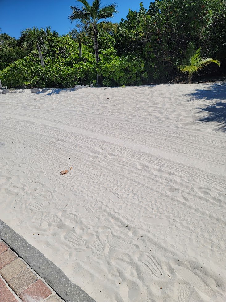 White sandy beach with multiple footprints, bordered by a brick edge, with green tropical foliage and palm trees under a clear blue sky.