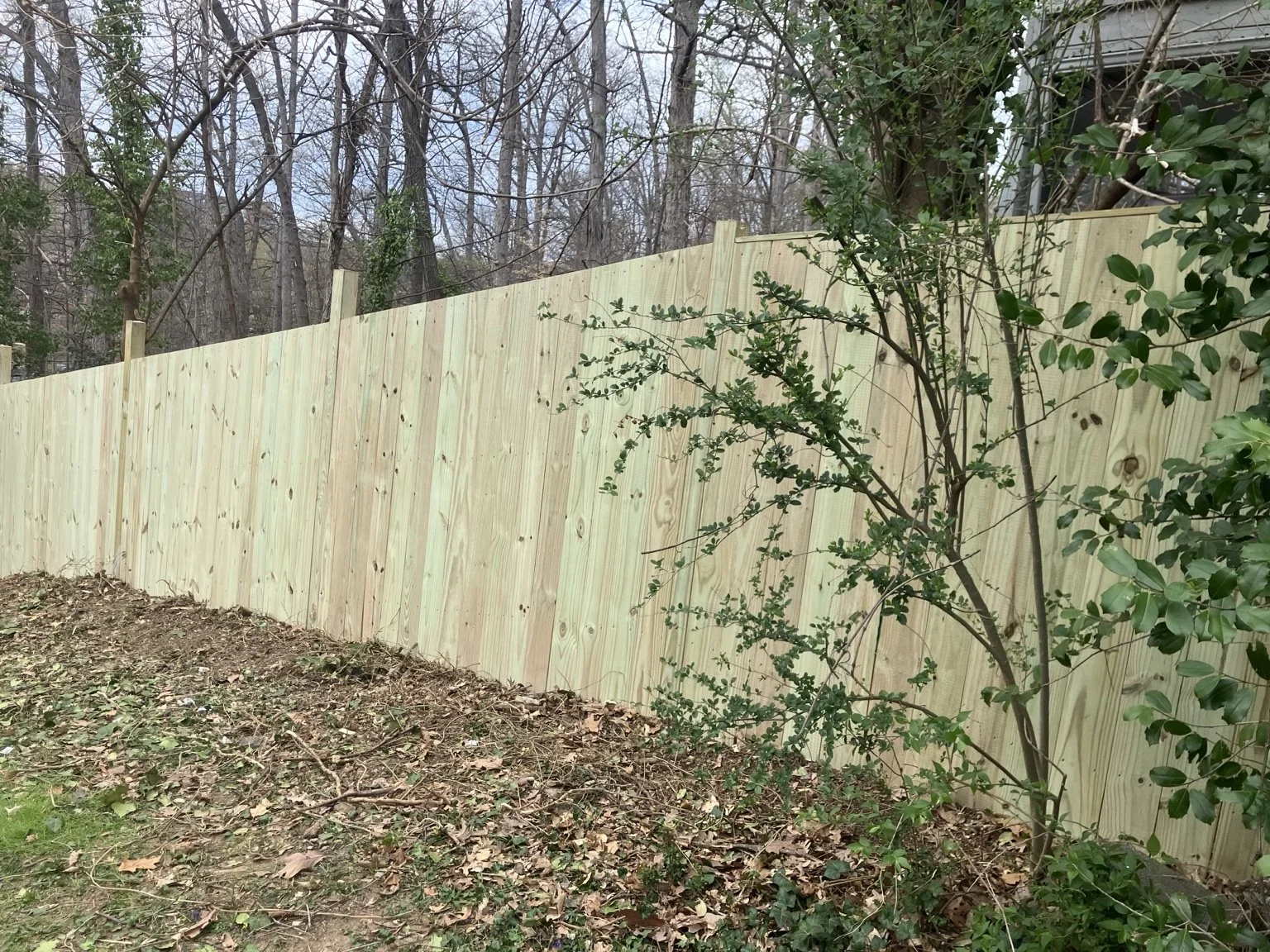pressure-treated-wood-fence.jpeg
