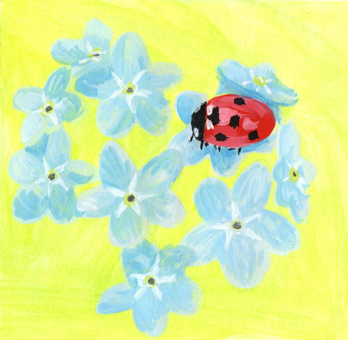 ladybird on flowers copy.jpg