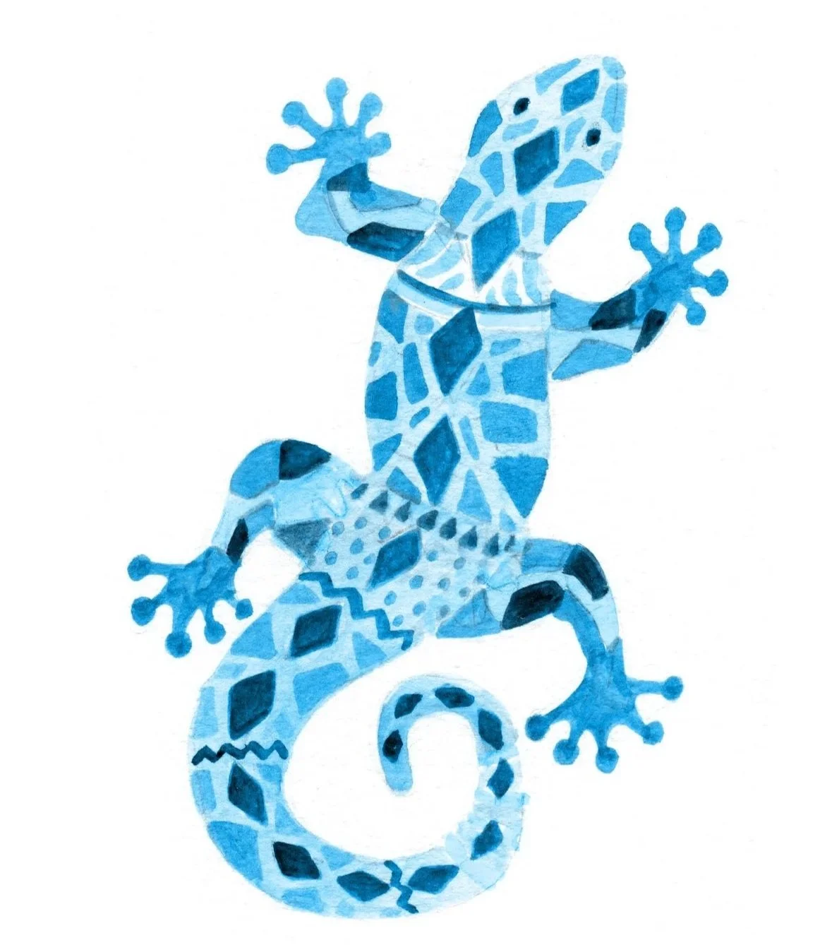 white+background+blue+lizard.jpg