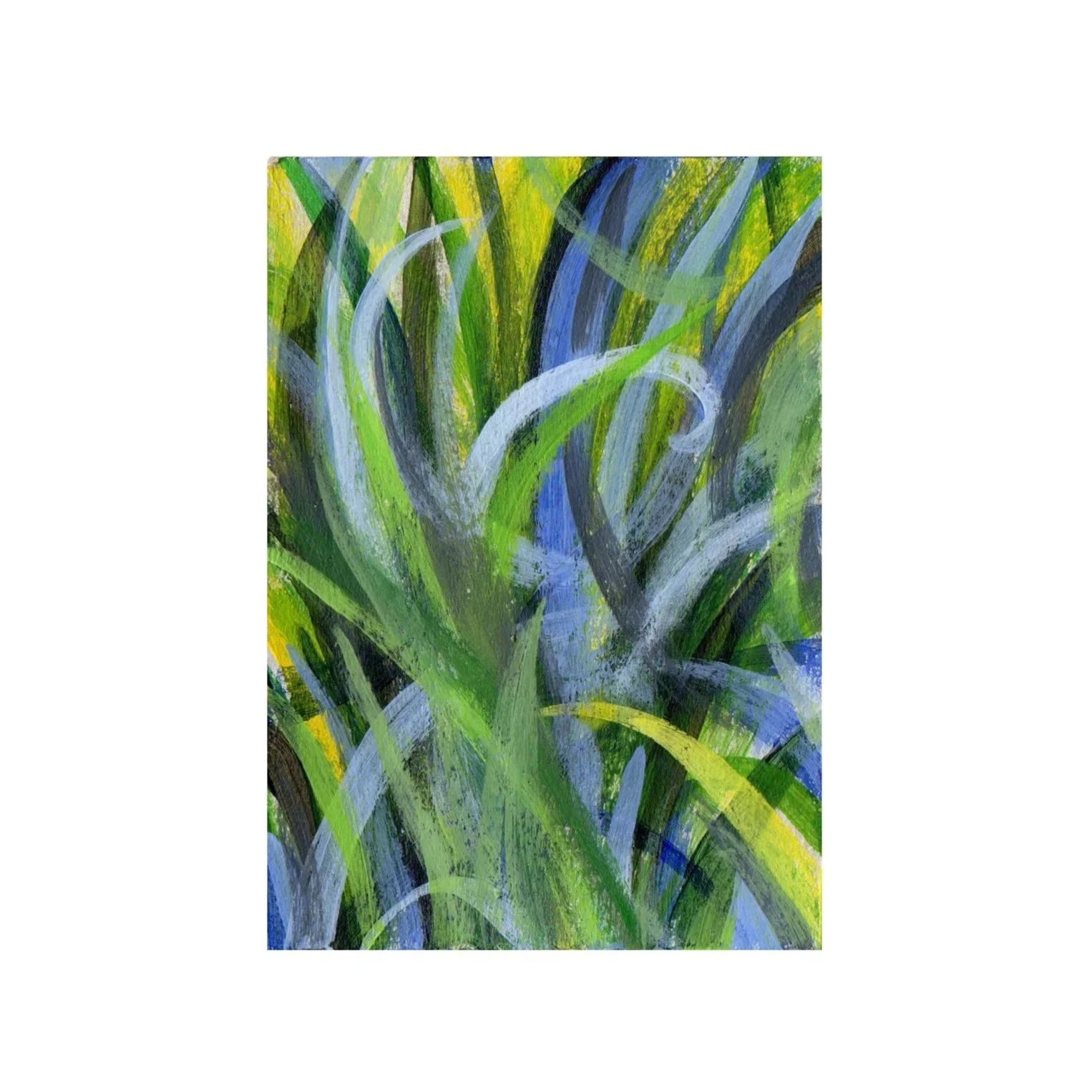 colourful+grass+copy.jpg