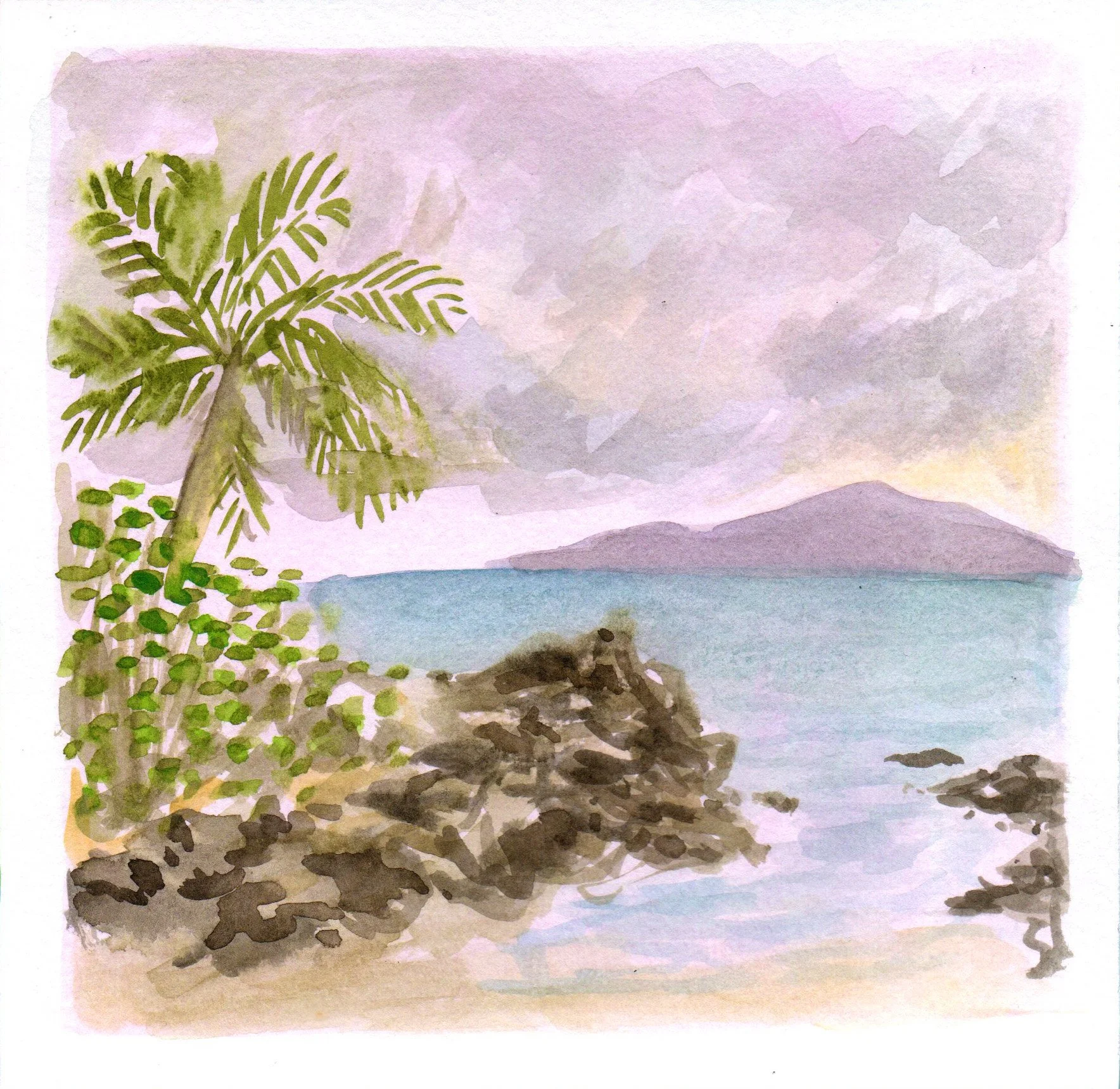 tropical.jpg