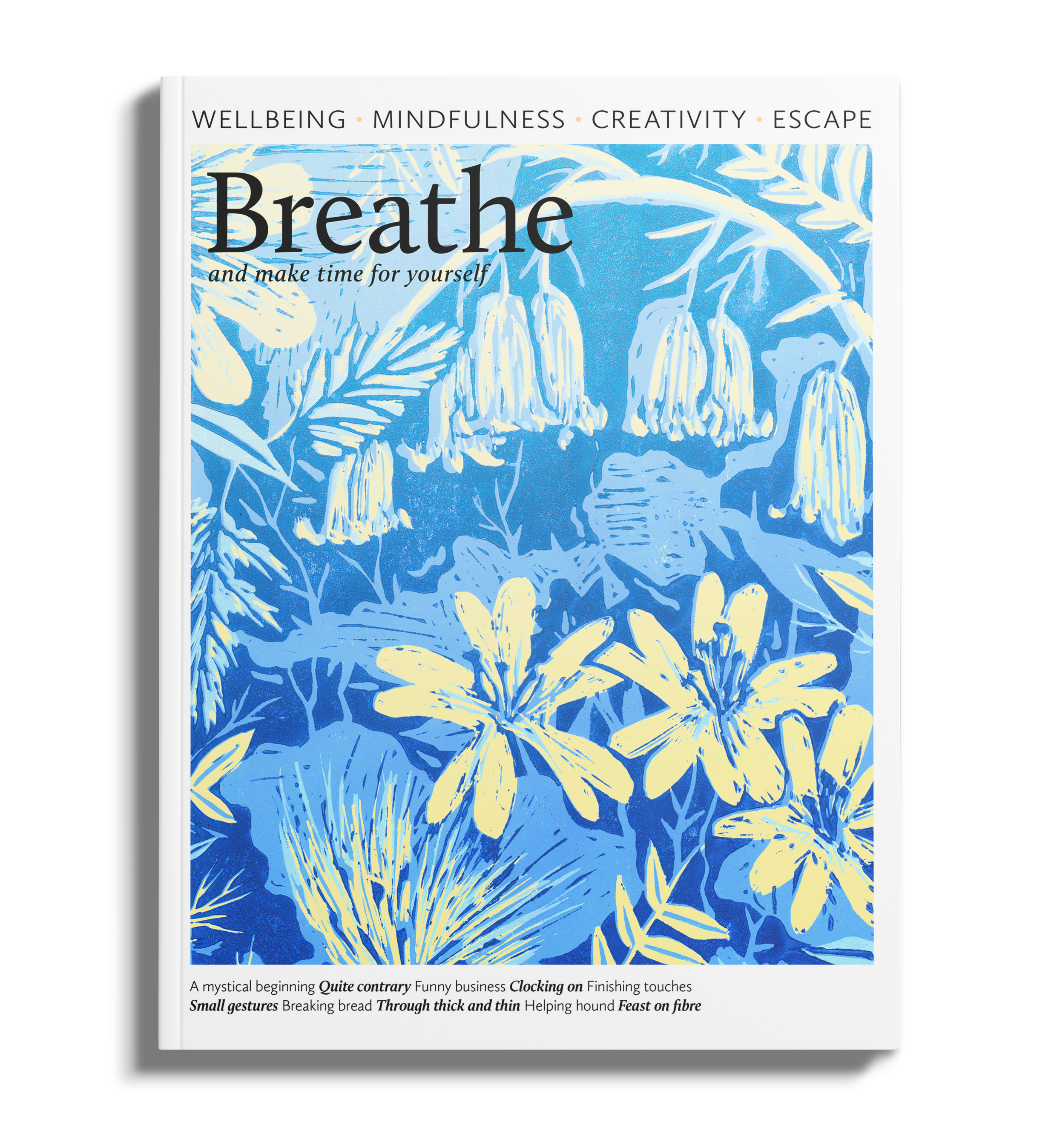magazine mockup FINAL copy.png