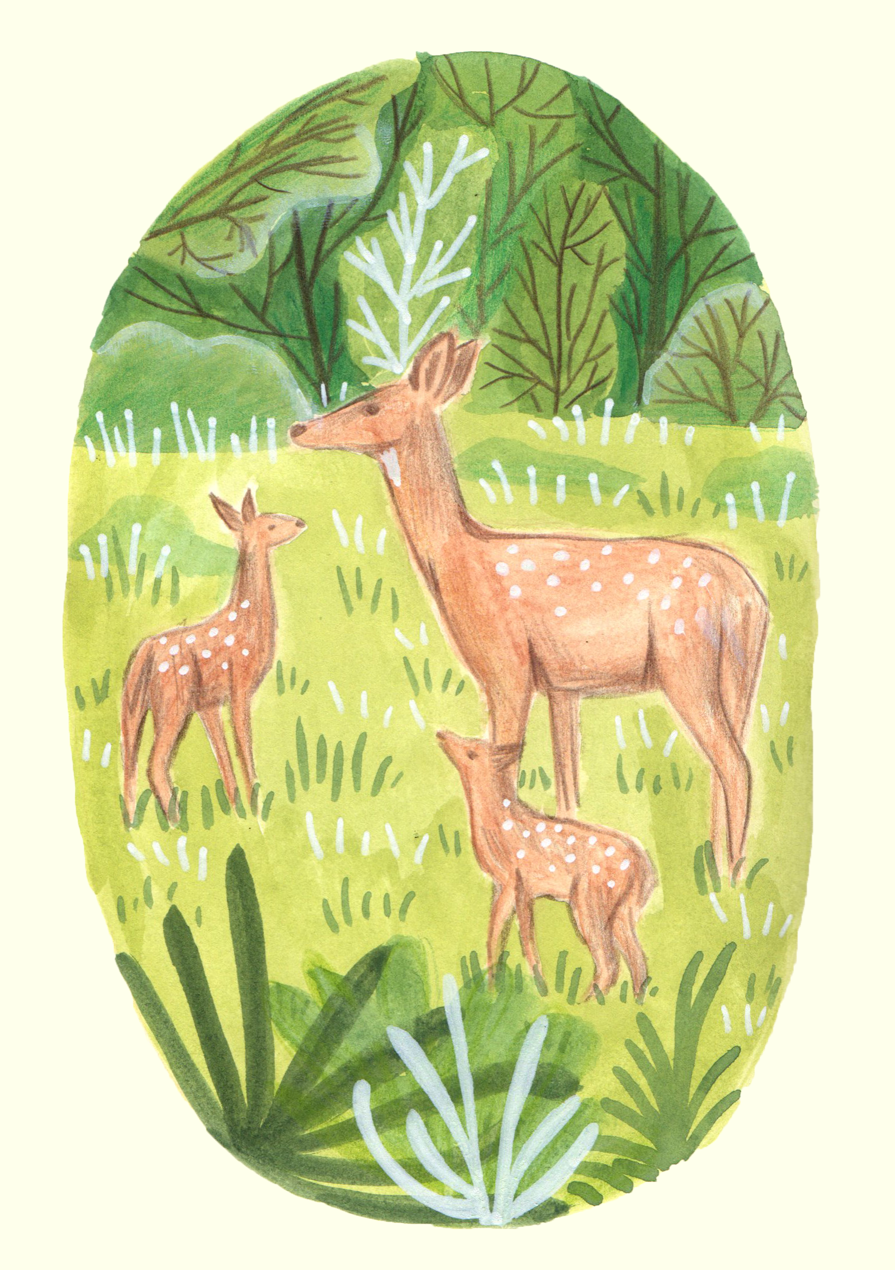 deer.png