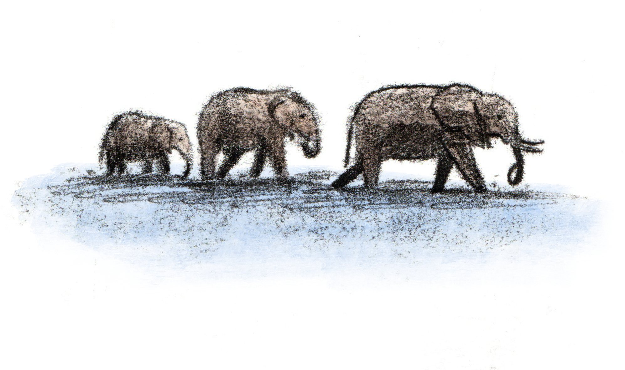 elephants_walking.png