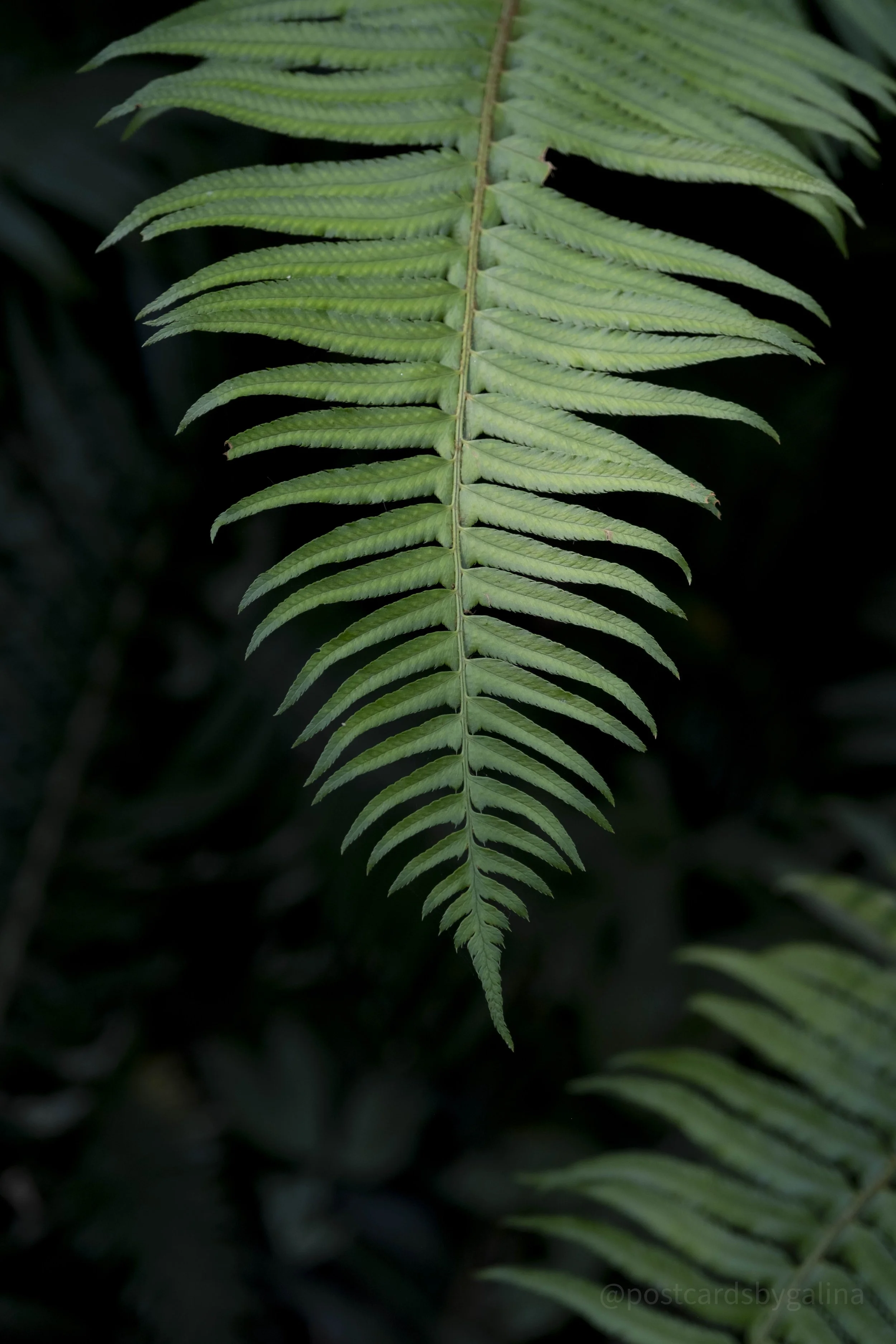 waterfall-10.jpg