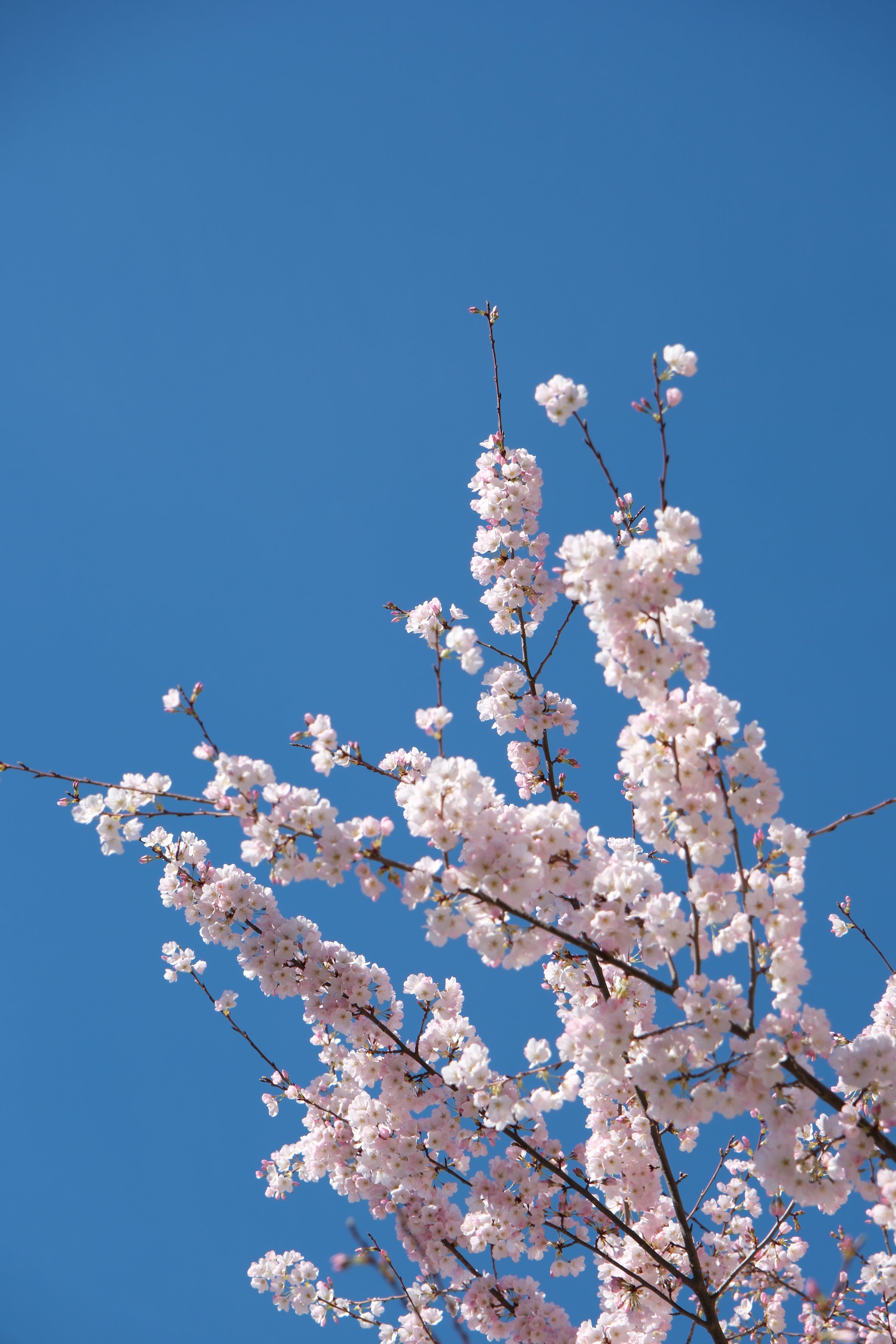 DSCF2302.JPG
