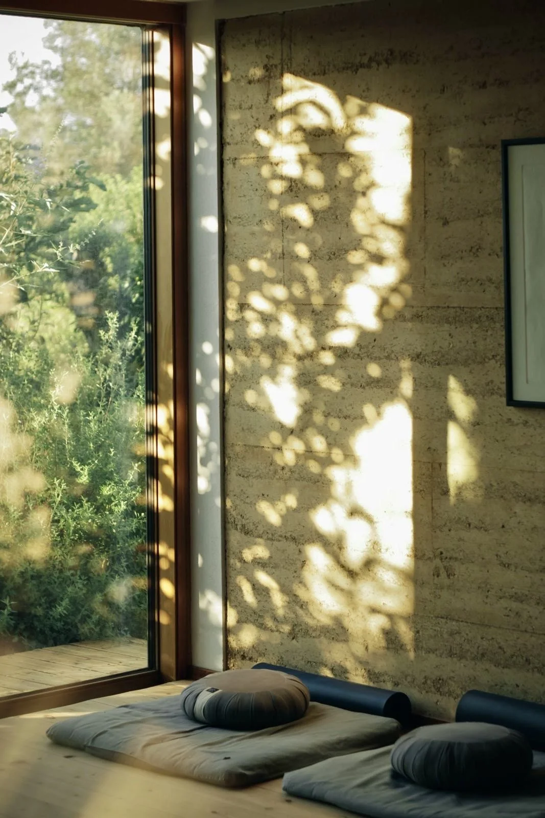 Sunlight creates a shadow of a leafy plant on a beige textured wall inside a room with a large glass door showing outdoor greenery, with two cushions placed on the floor near the wall.