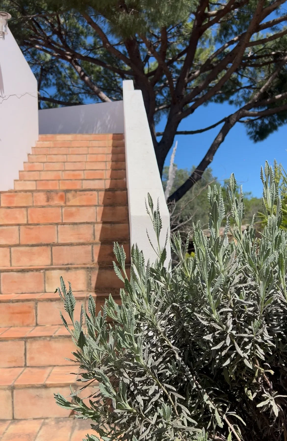 Zen-inspired wellness retreat in Algarve, recognized as one of the best yoga retreats in the Algarve, offering yoga with Debbie, pranayama, massages with Liladhar, mindful living in silence and nature, and a digital detox experience.