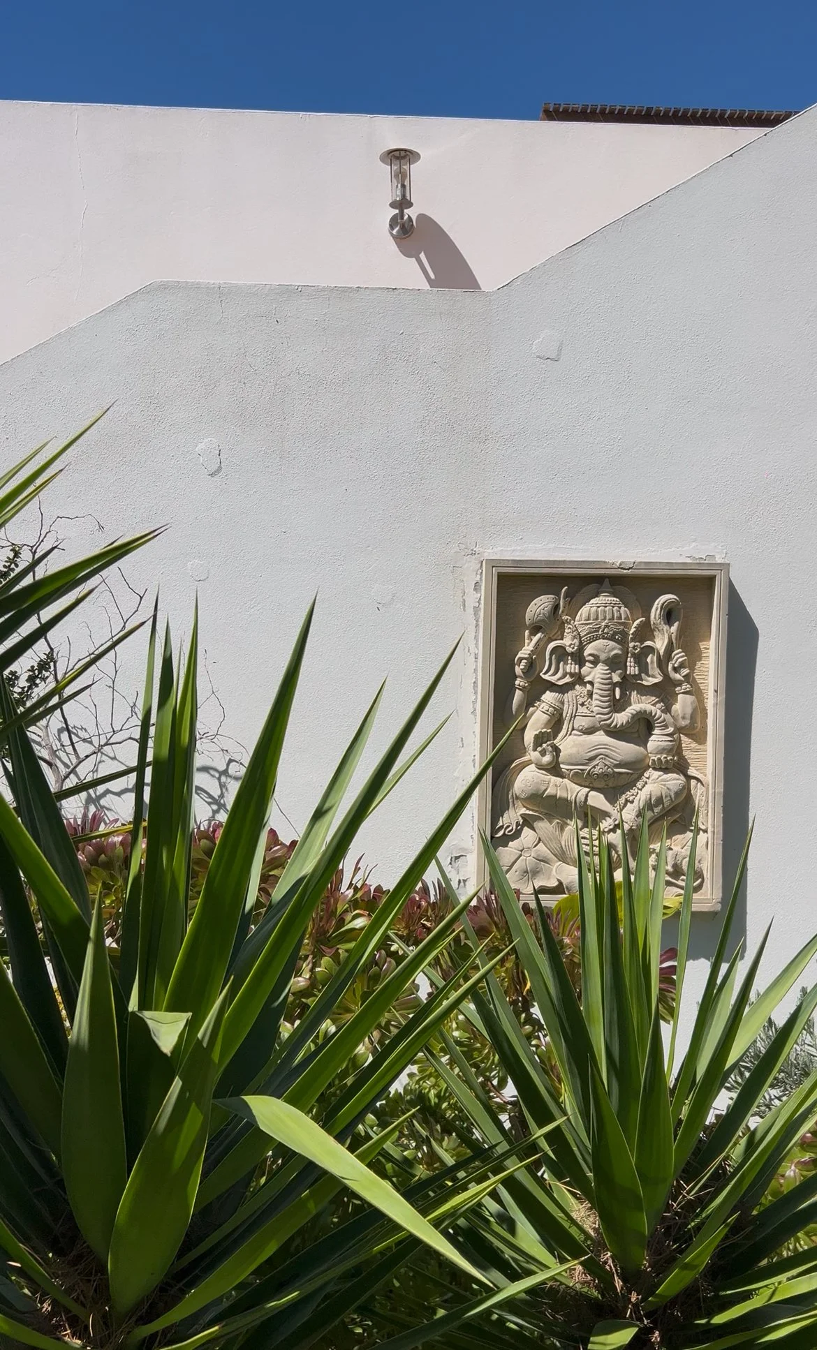 Zen-inspired wellness retreat in Algarve, recognized as one of the best yoga retreats in the Algarve, offering yoga with Debbie, pranayama, massages with Liladhar, mindful living in silence and nature, and a digital detox experience.