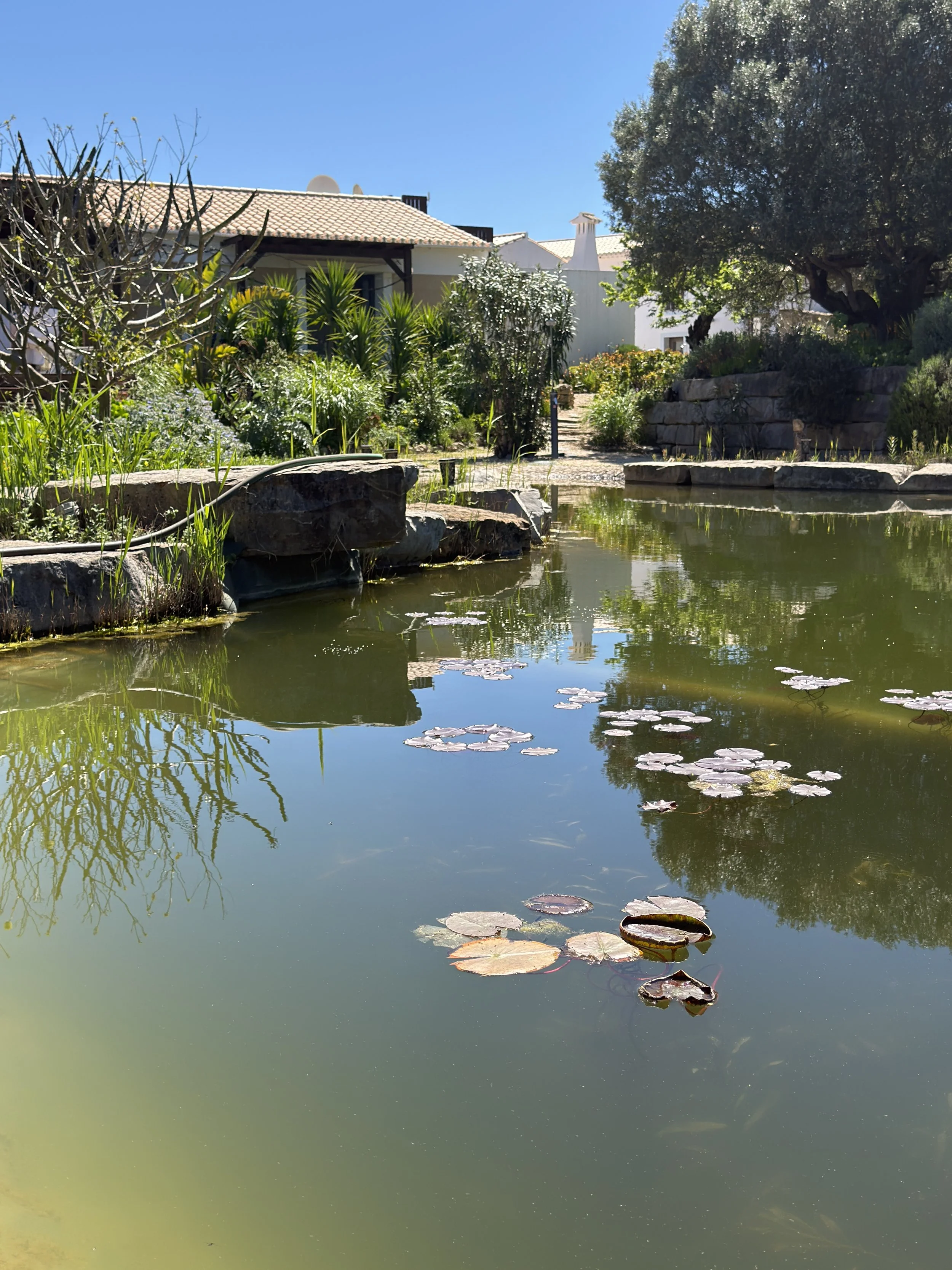 Zen-inspired wellness retreat in Algarve, recognized as one of the best yoga retreats in the Algarve, offering yoga with Debbie, pranayama, massages with Liladhar, mindful living in silence and nature, and a digital detox experience.