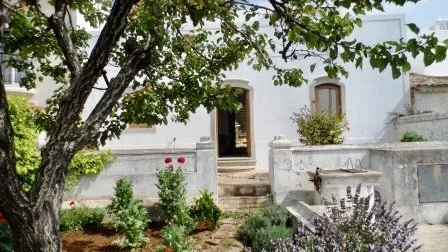 A white house with steps leading up to the door, surrounded by green plants and trees.