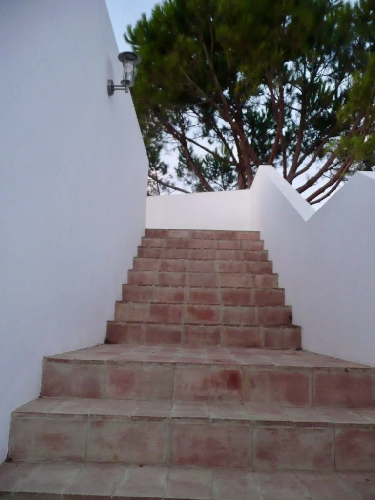 Brick stairs leading up between white walls, with a large tree visible at the top.