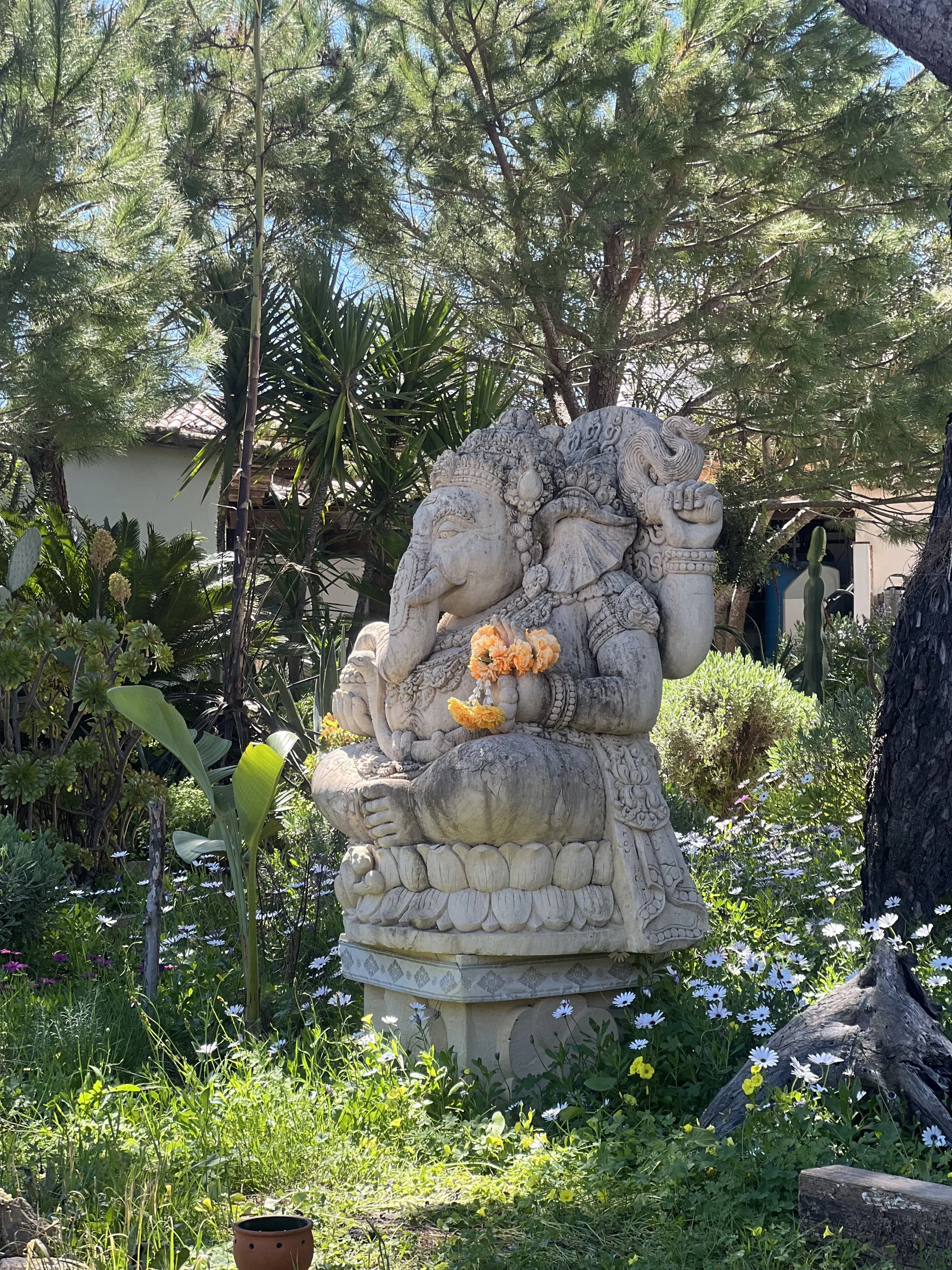 Zen-inspired wellness retreat in Algarve, recognized as one of the best yoga retreats in the Algarve, offering yoga with Debbie, pranayama, massages with Liladhar, mindful living in silence and nature, and a digital detox experience.