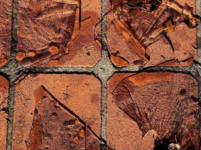 Agency As A Place of Play And Investigation