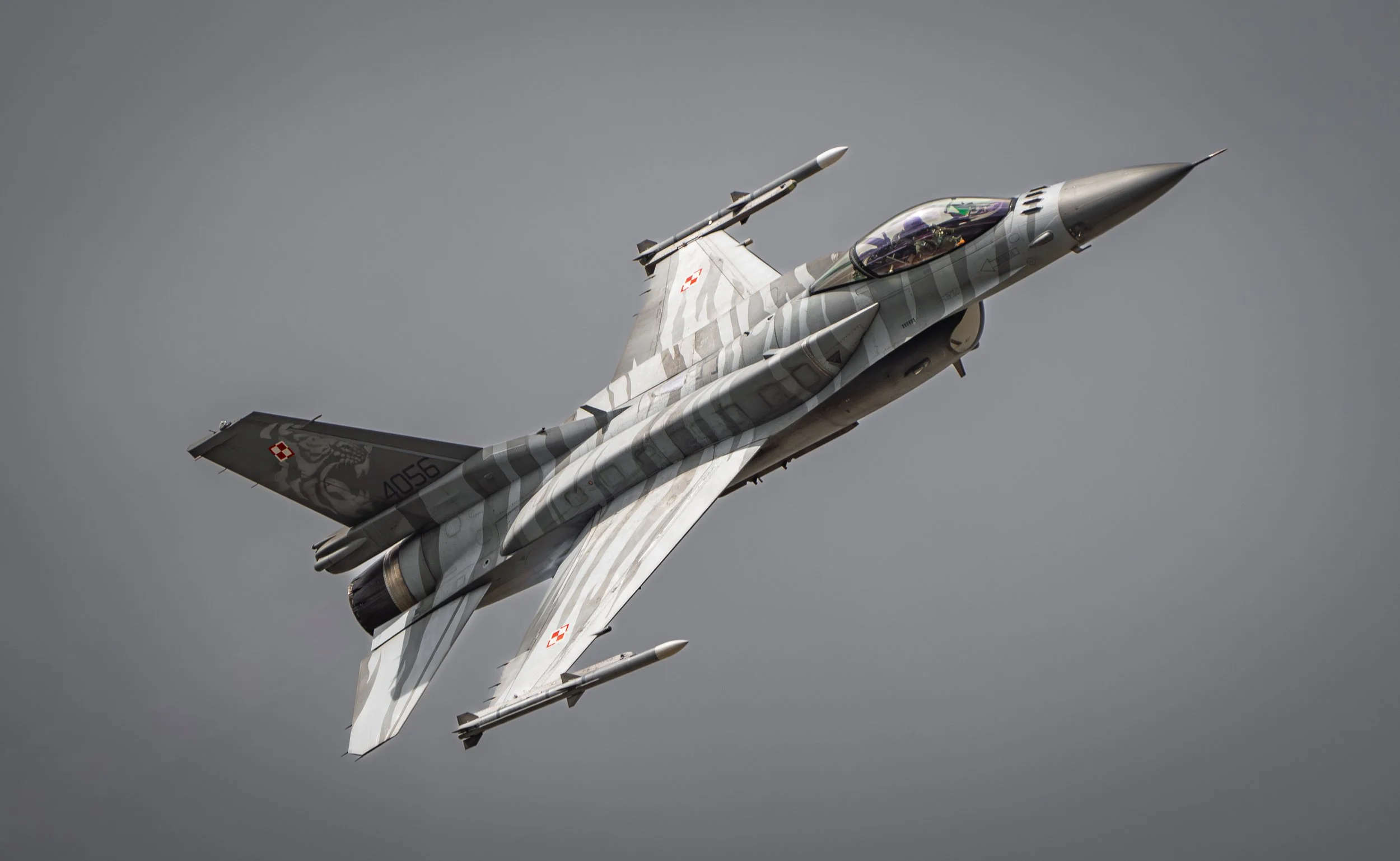 DSC02334-Enhanced-NR copy.jpg