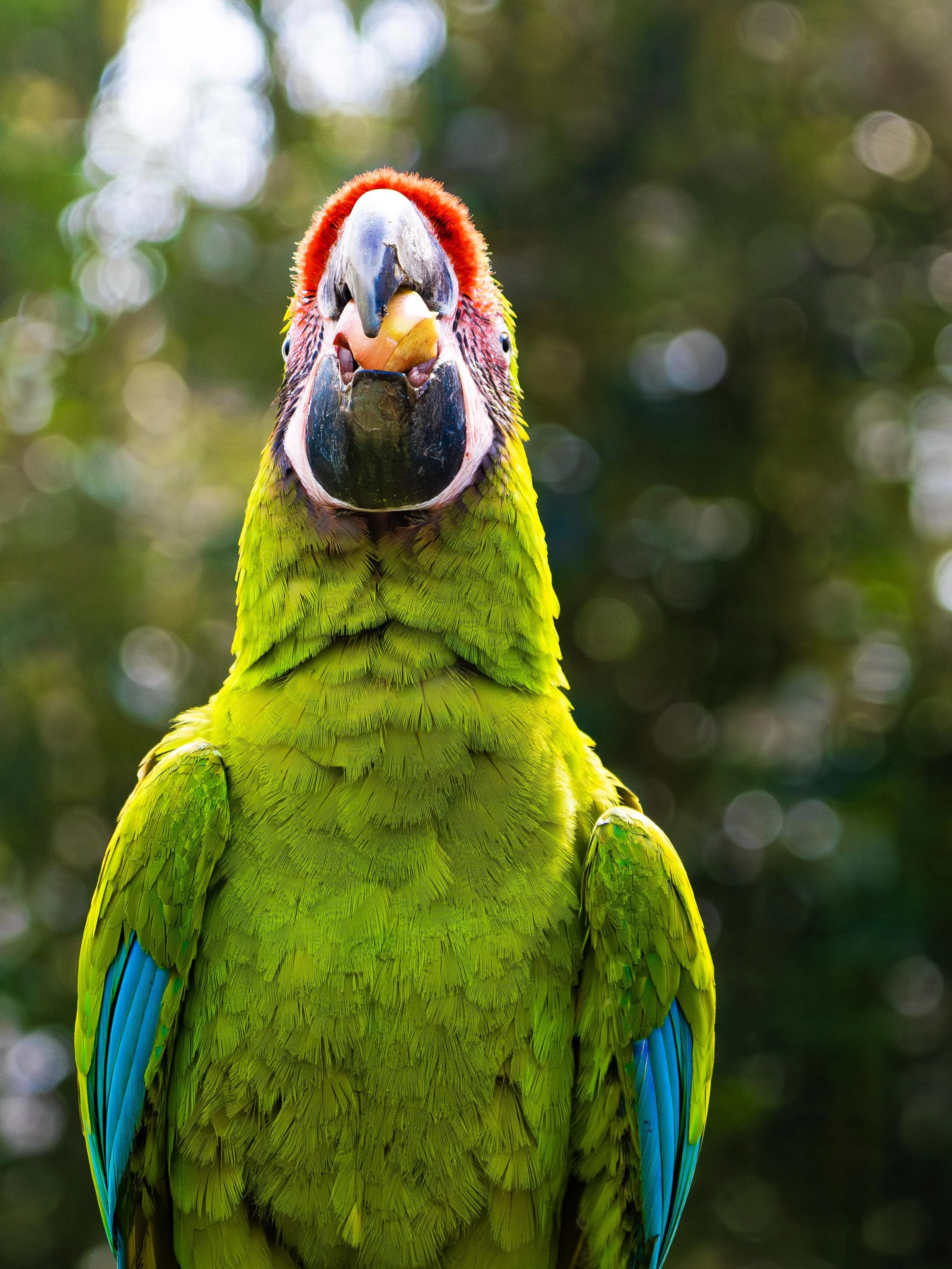 DSC08669-Enhanced-NR copy.jpg