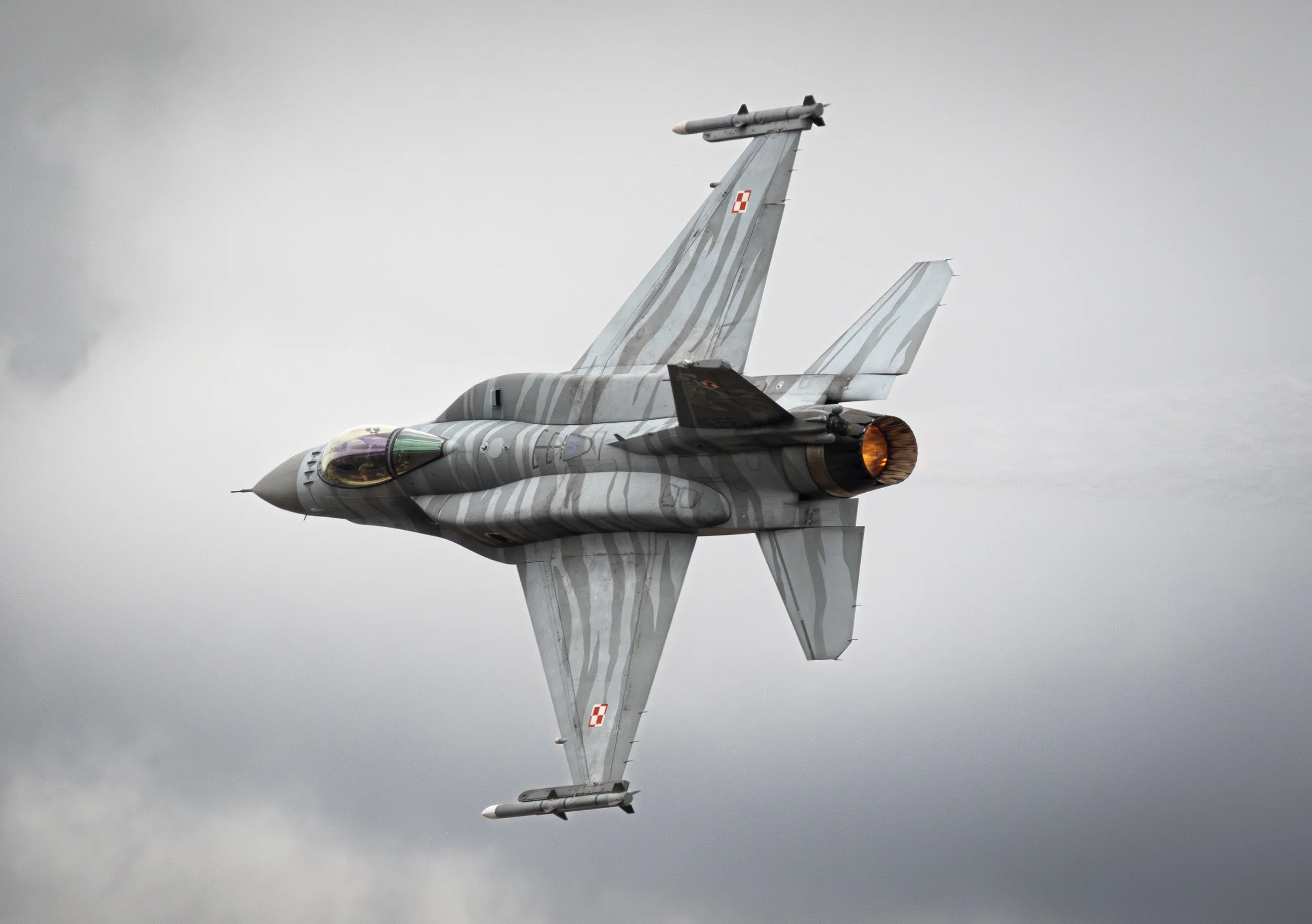 DSC02385-Enhanced-NR copy.jpg