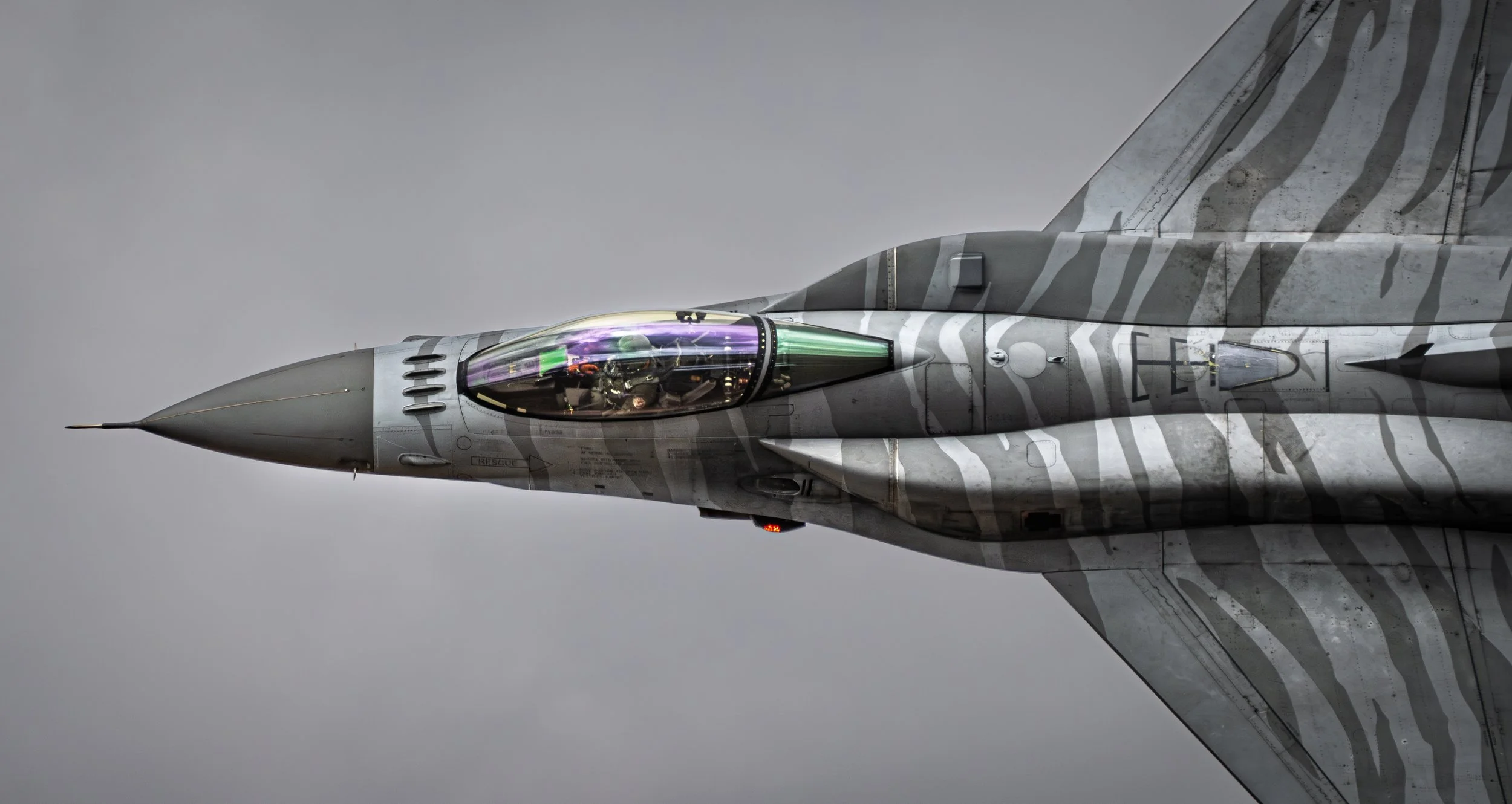 DSC02381-Enhanced-NR copy.jpg