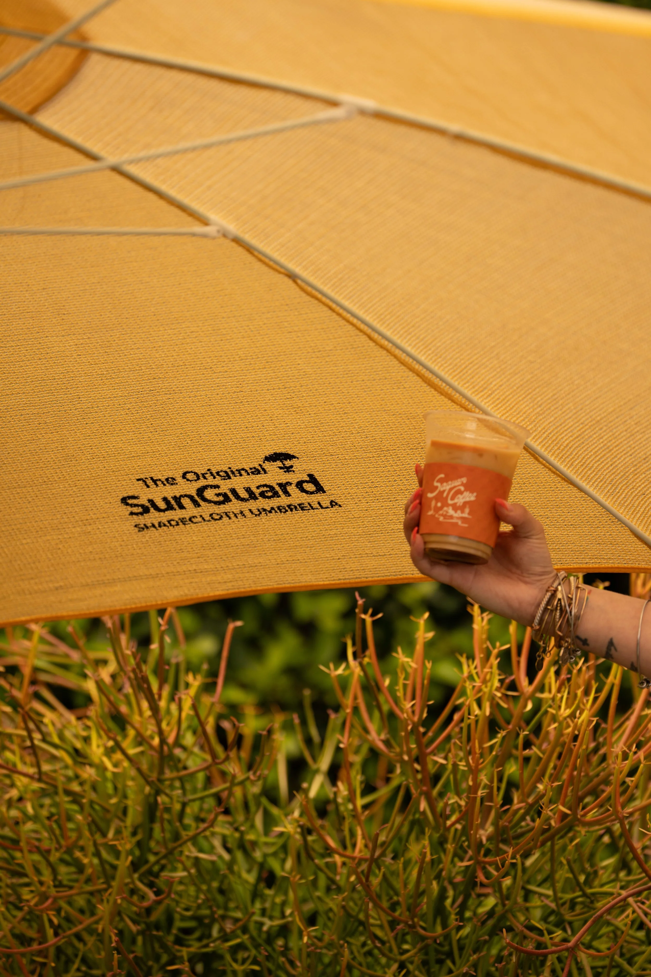 A person holding a coffee cup in front of a large yellow sunshade with the logo of SunGuard Shade Cloth & Umbrella. The sunshade is above a patch of spiky green plants.