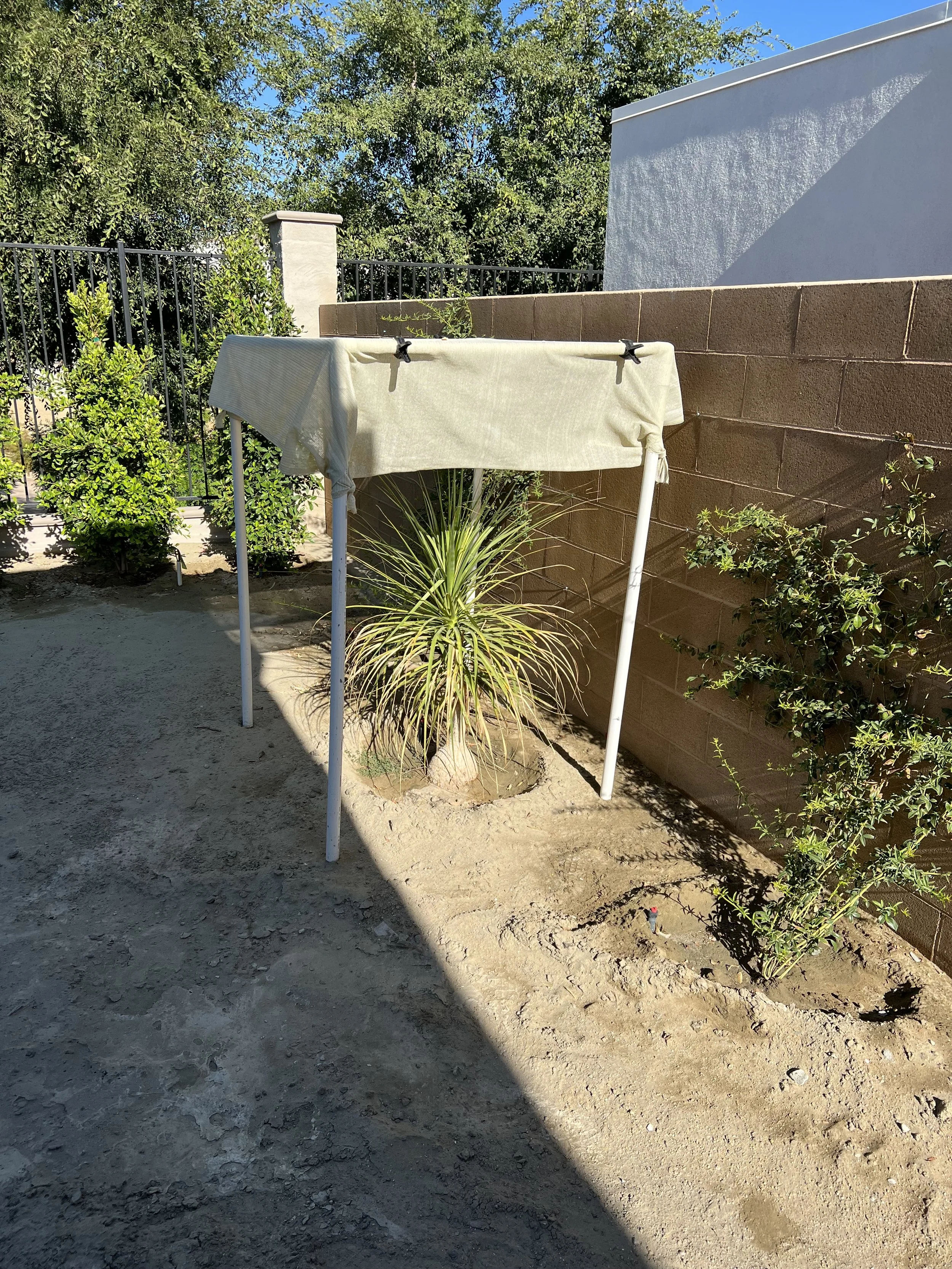 A small outdoor area with a white clothes drying rack covered with a beige cloth, surrounded by green shrubbery, a tall cement block wall, a black metal fence, and a large leafy tree in the background. The ground is bare dirt with some shadows from the structures and trees.