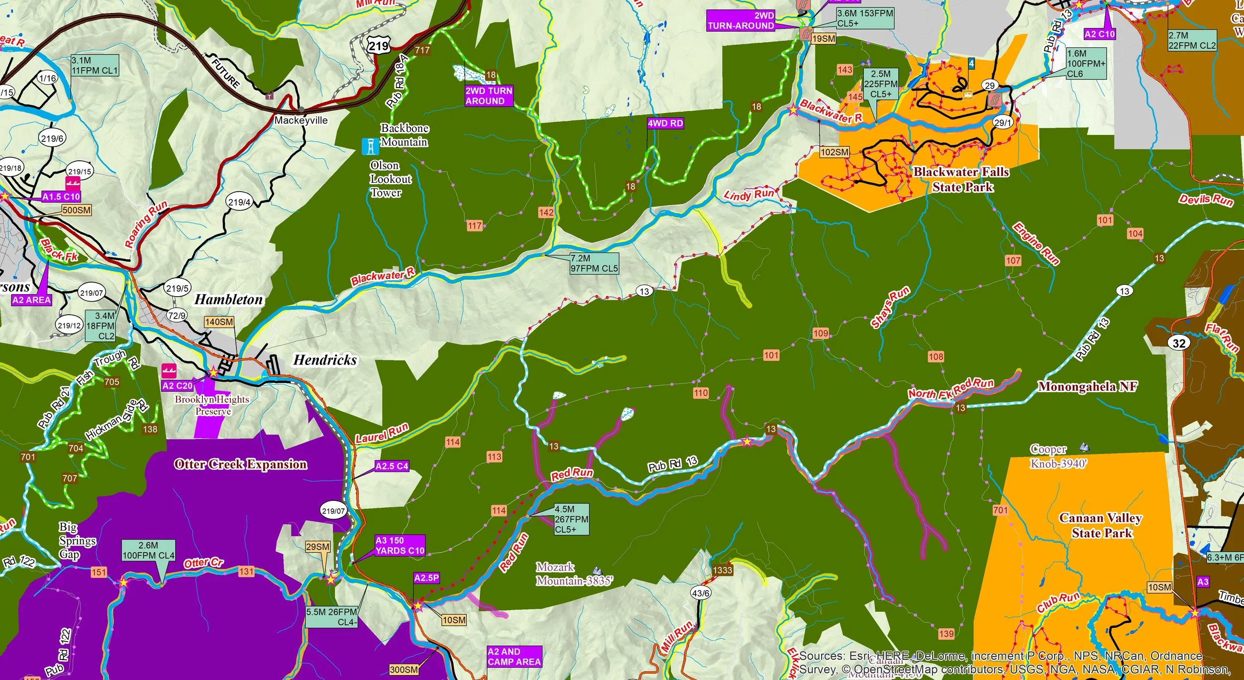 CHEAT AND TYGART VALLEY RIVER sample page