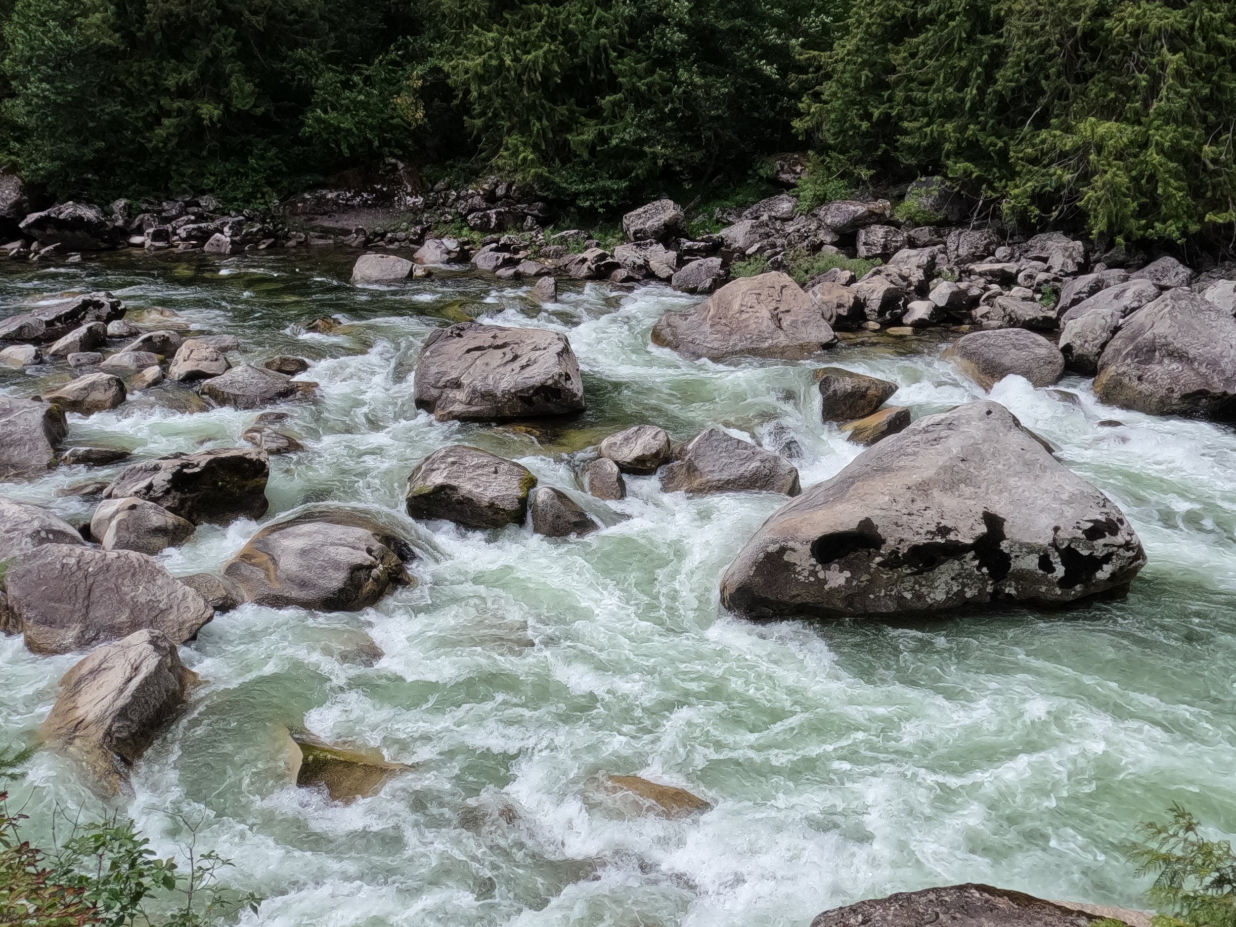 A flowing river surrounded by large rocks and dense green forest.