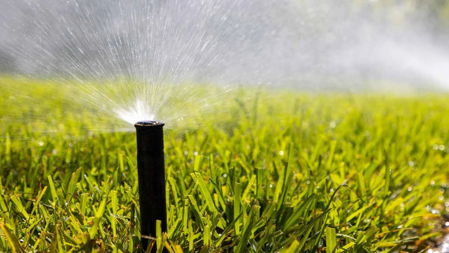 Sprinkler System Maintenance