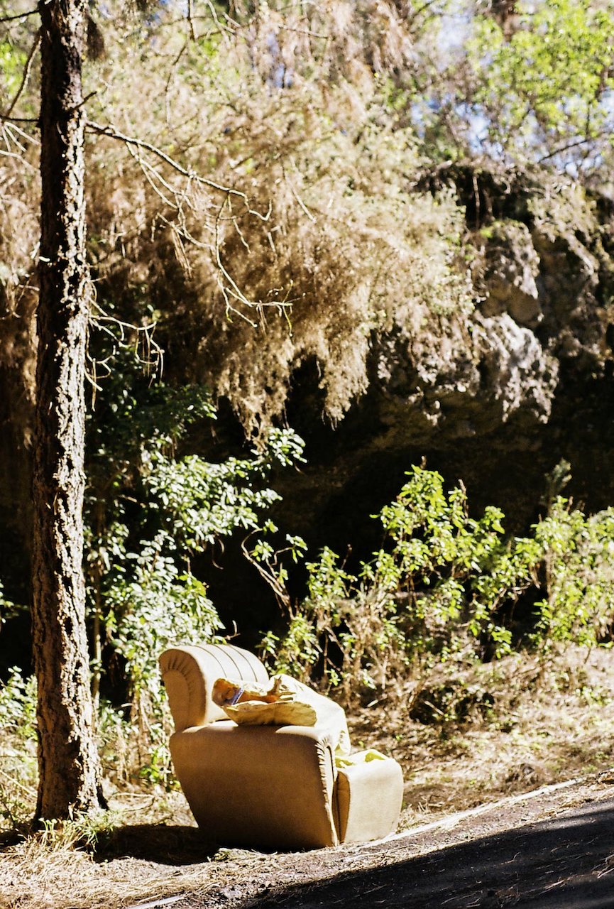 Ein einsames Sofa im Wald, auf dem ein Hund liegt und ein Buch liest.