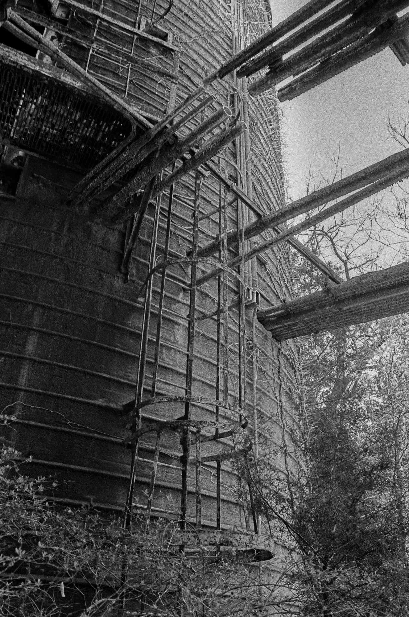 american dream (19 of 19).jpg