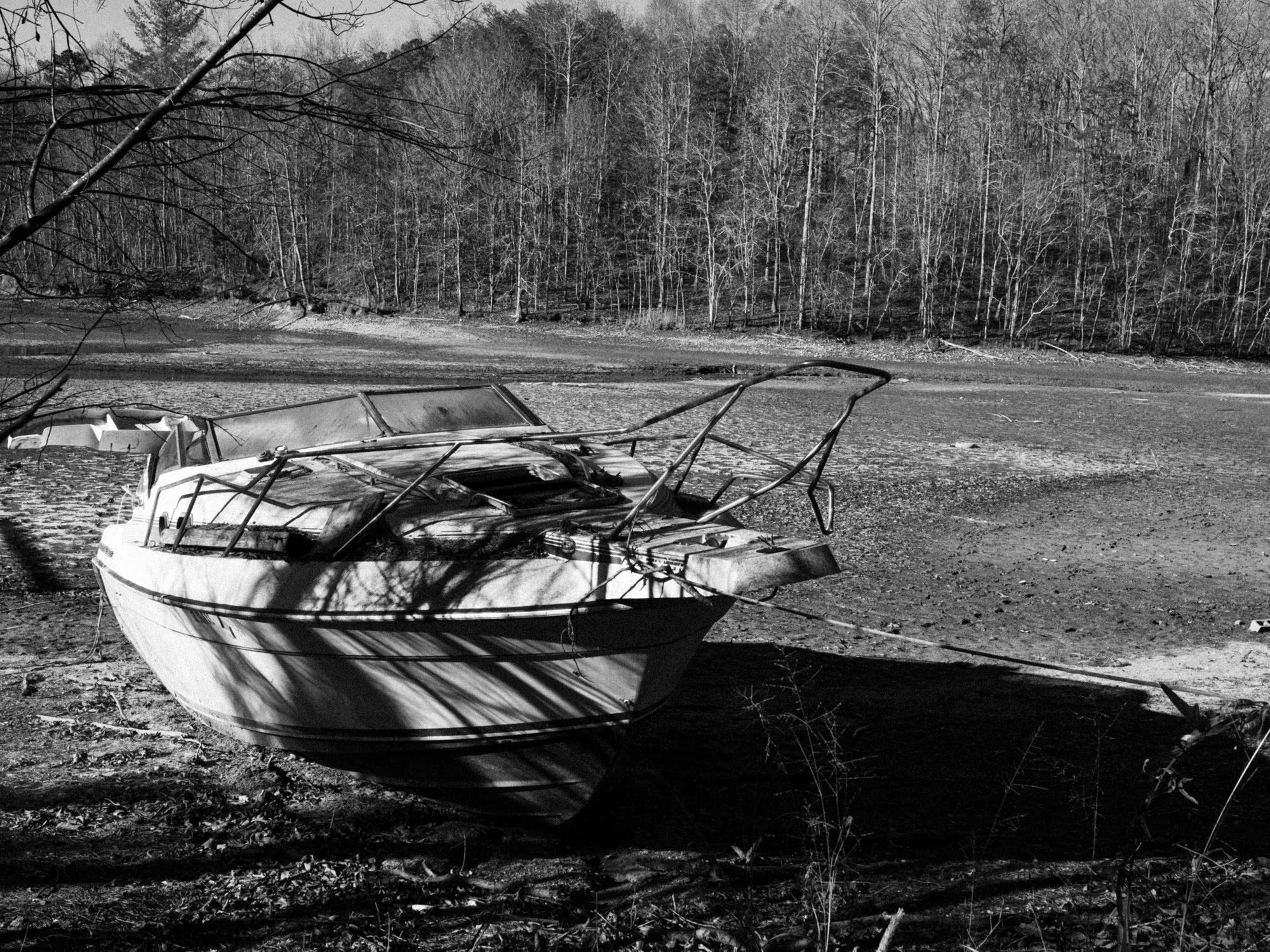 american dream (1 of 1).jpg