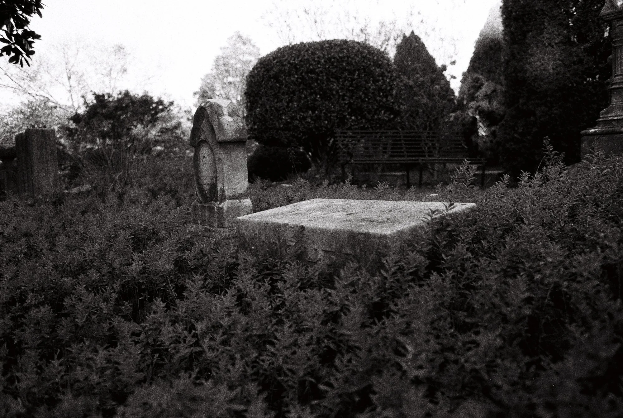 Oakland cemetery (3 of 11).jpg