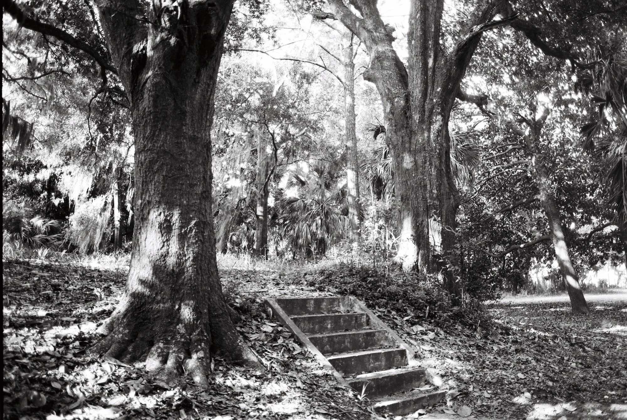 american dream (7 of 19).jpg