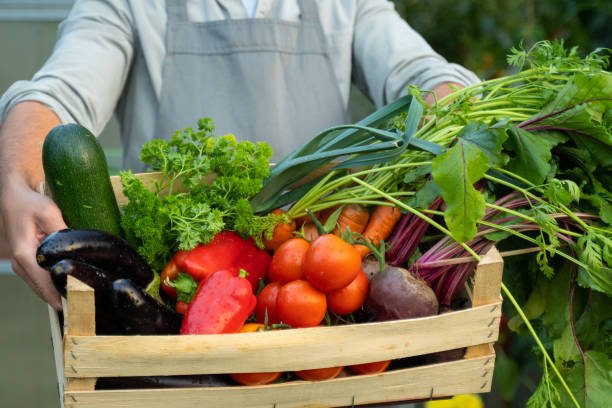 Person holding a wooden crate filled with fresh vegetables including tomatoes, zucchini, eggplant, carrots, beets, and leafy greens.