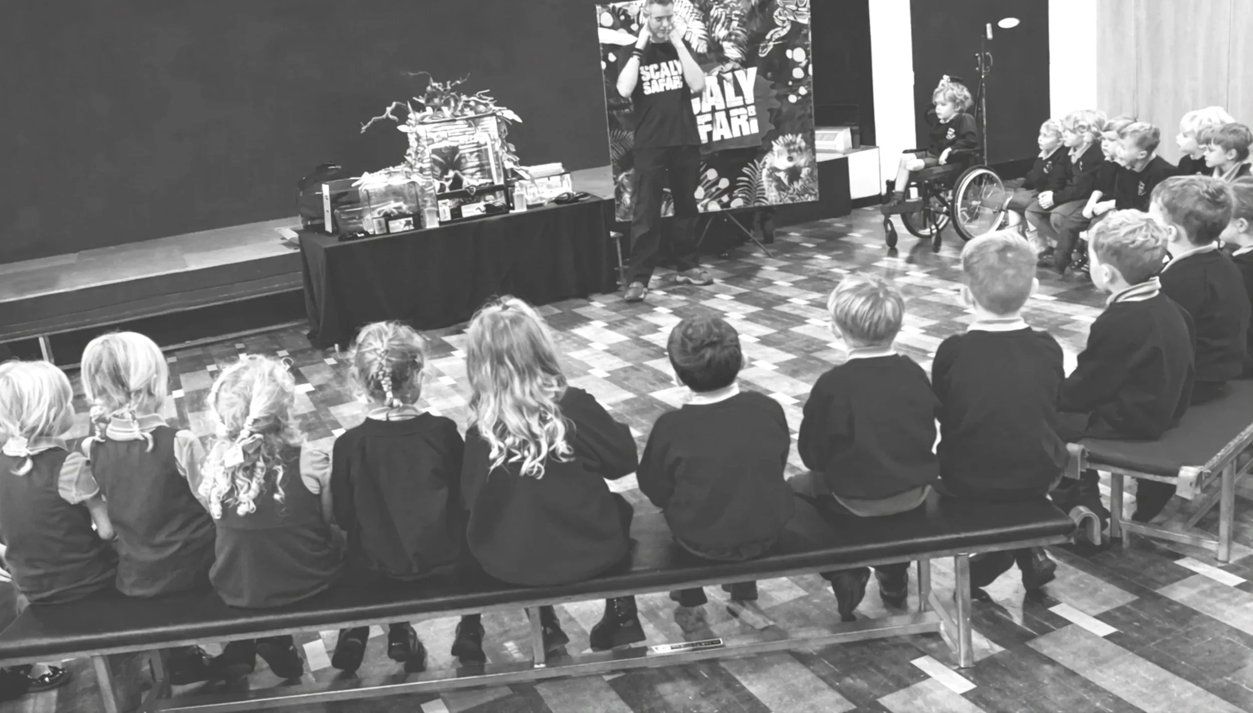 Are reptile visits suitable for schools?