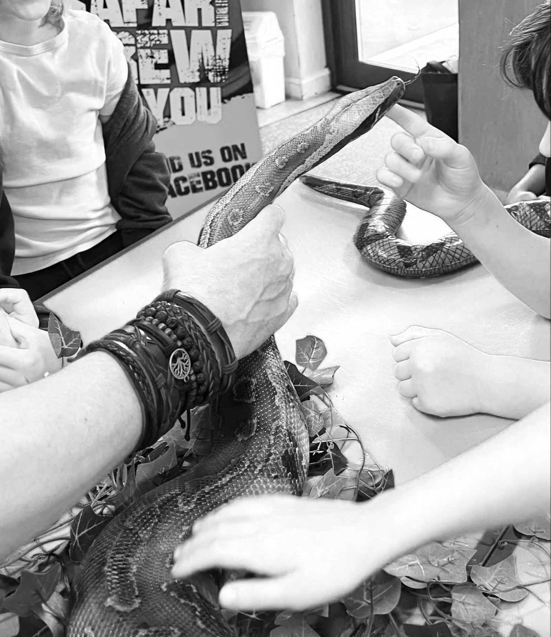 How do reptile visits support the curriculum?