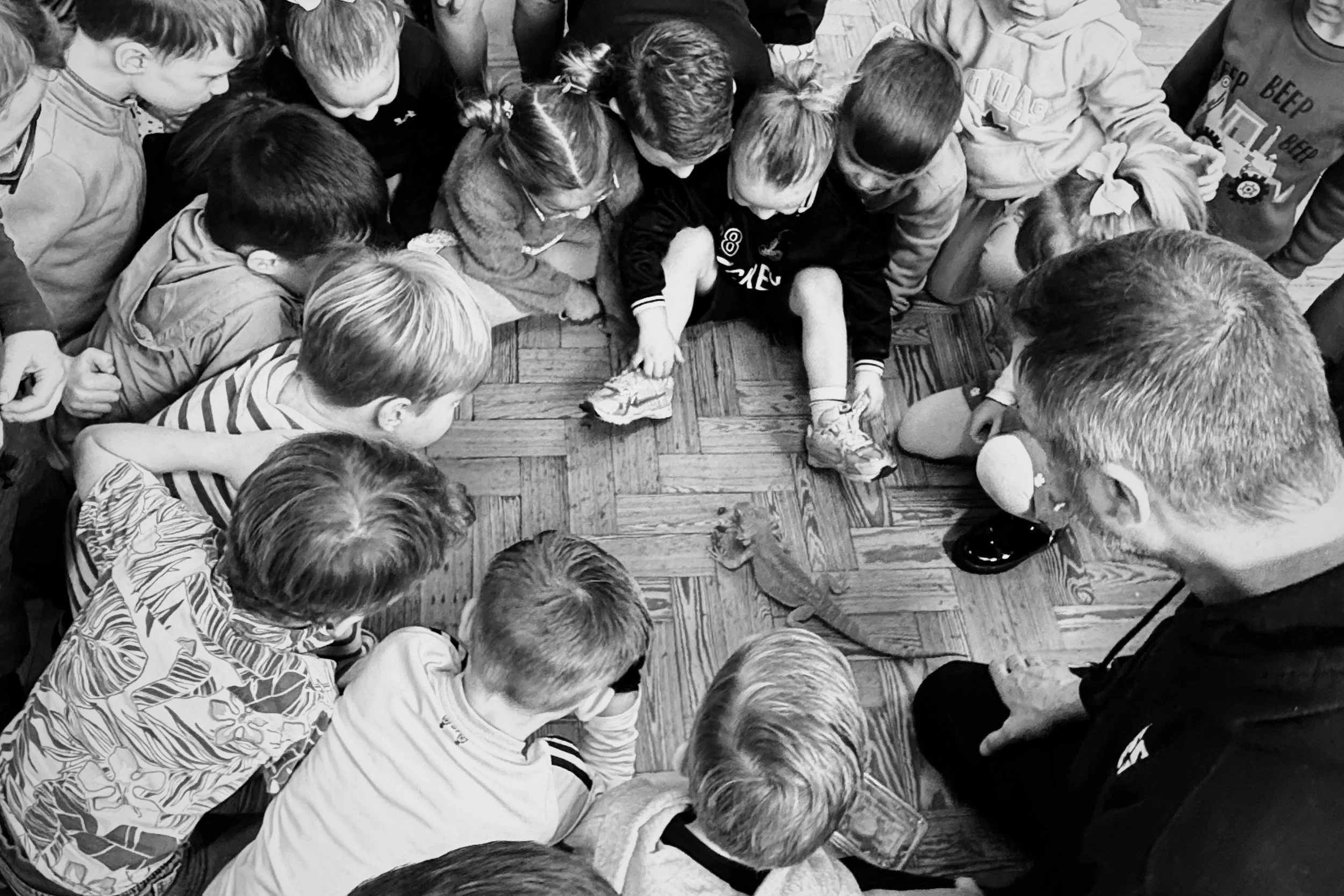 Do children have to hold reptiles at parties?