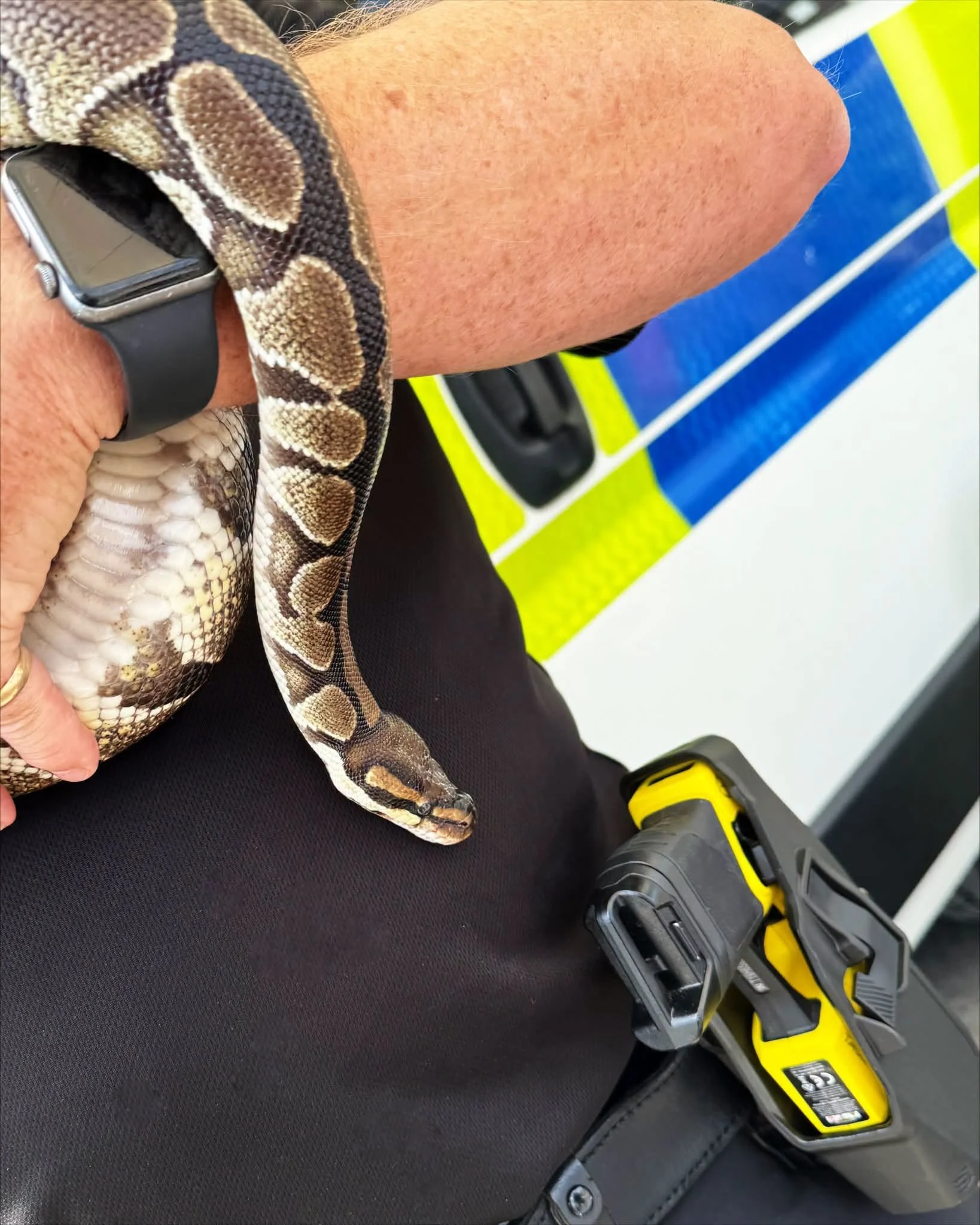 Pretzel joins the police 