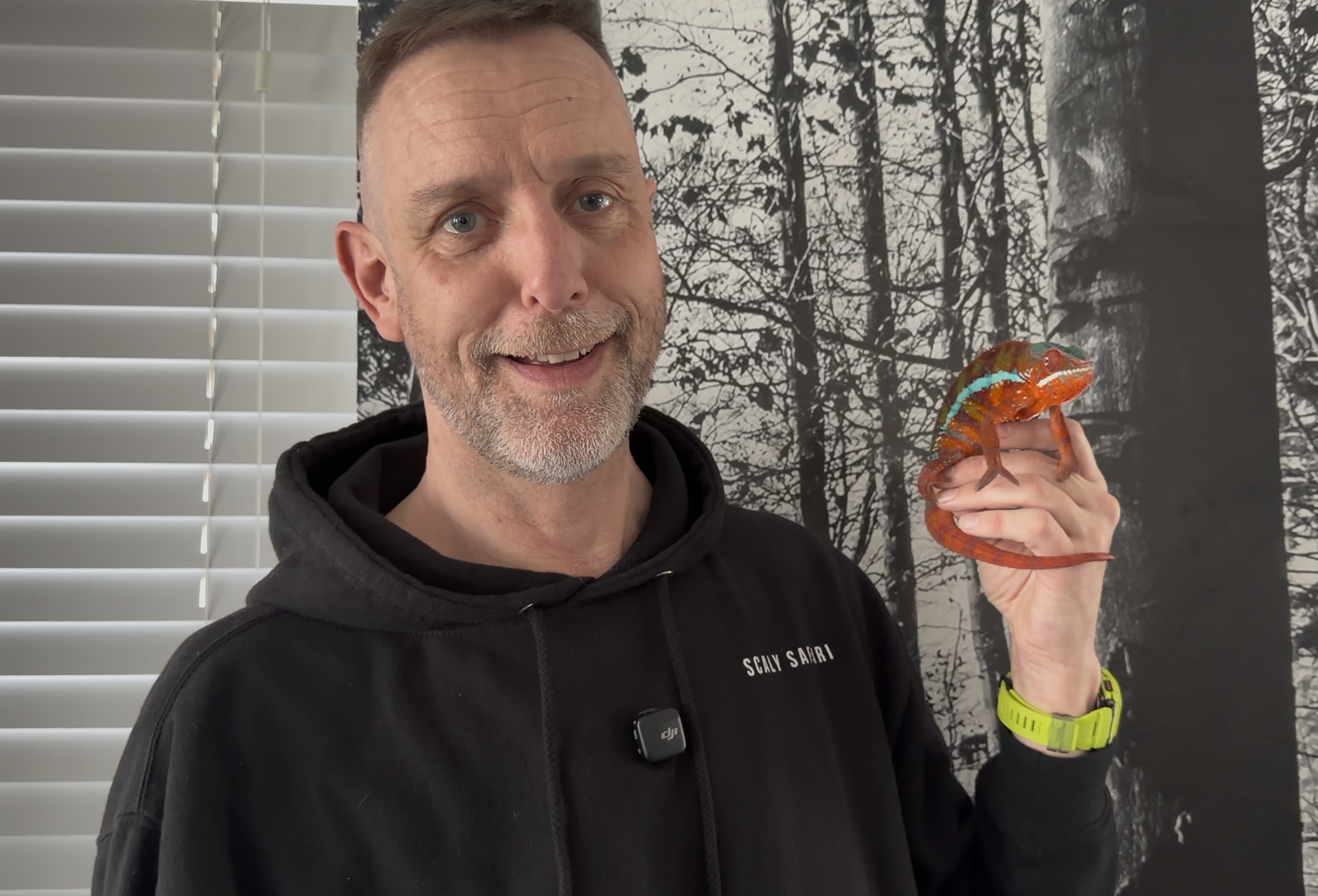 Teacher presenting panther chameleon in digital animal science lesson