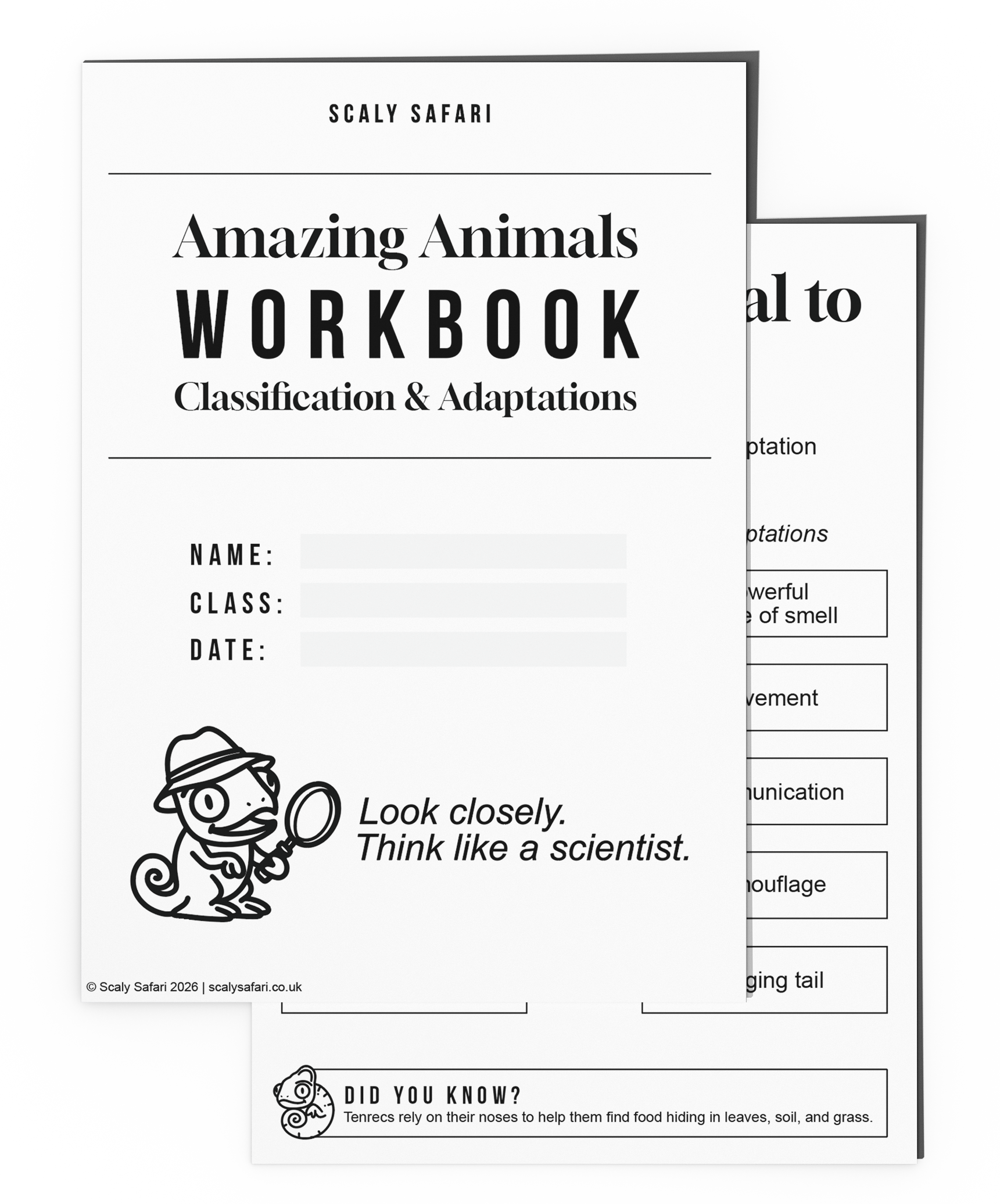KS2 animal classification and adaptations workbook for students