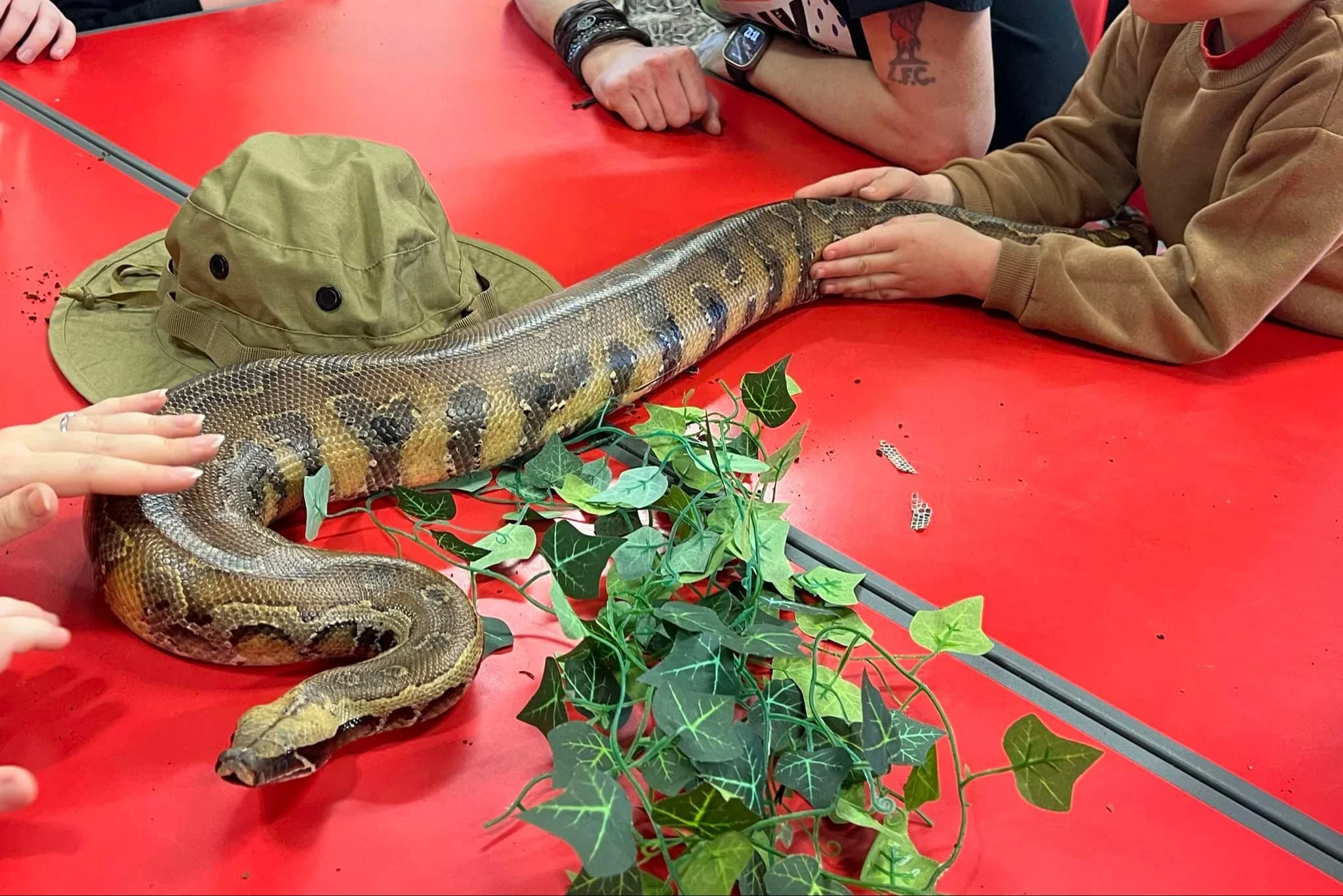 Children observing reptiles during a curriculum-aligned primary school workshop