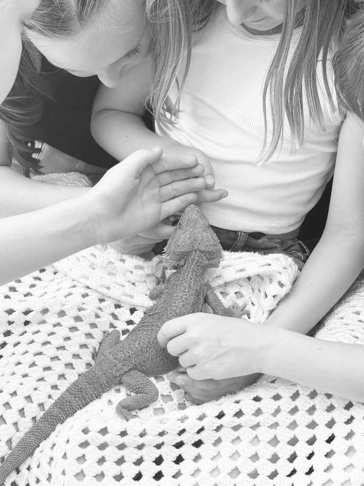 Is a reptile a good pet for a child?