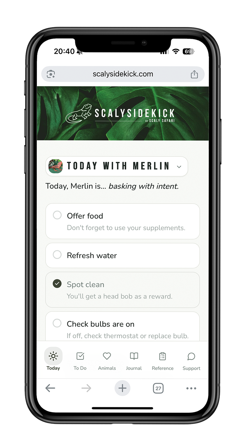 Reptile care app showing a daily checklist for feeding and essential tasks